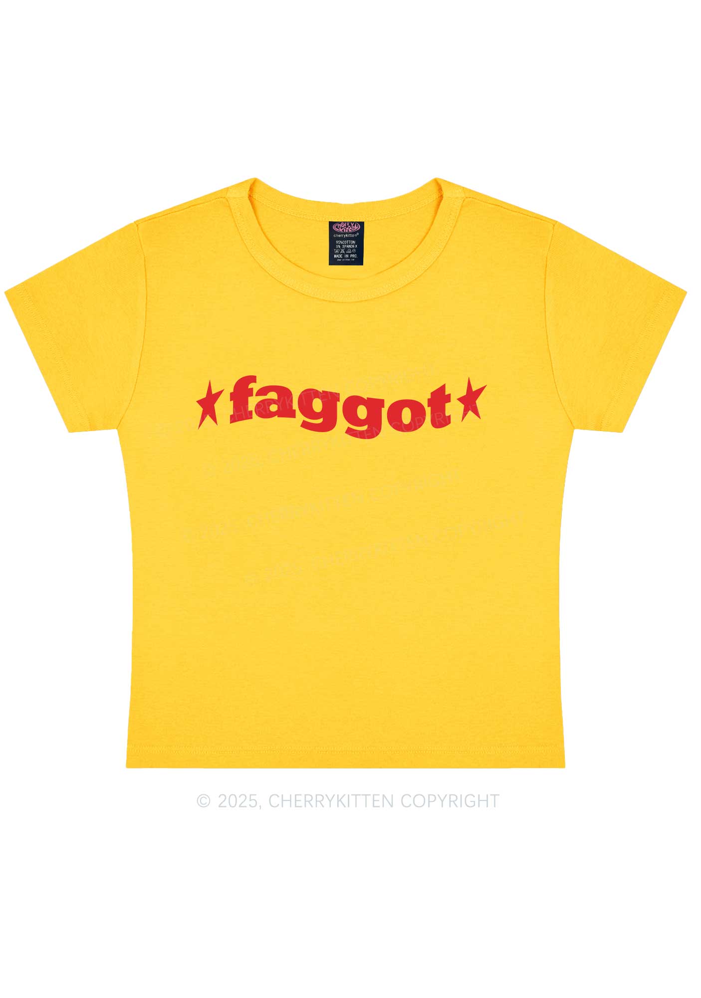 Red Faggot Pride Y2K Baby Tee Cherrykitten