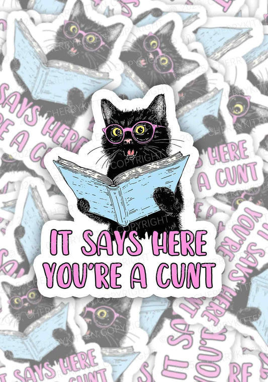 You Are A Cxxt Y2K Sticker Cherrykitten