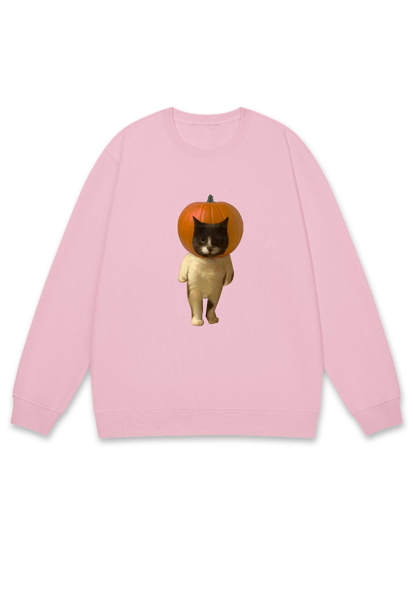 Pumpkin Head Cat Halloween Y2K Sweatshirt Cherrykitten