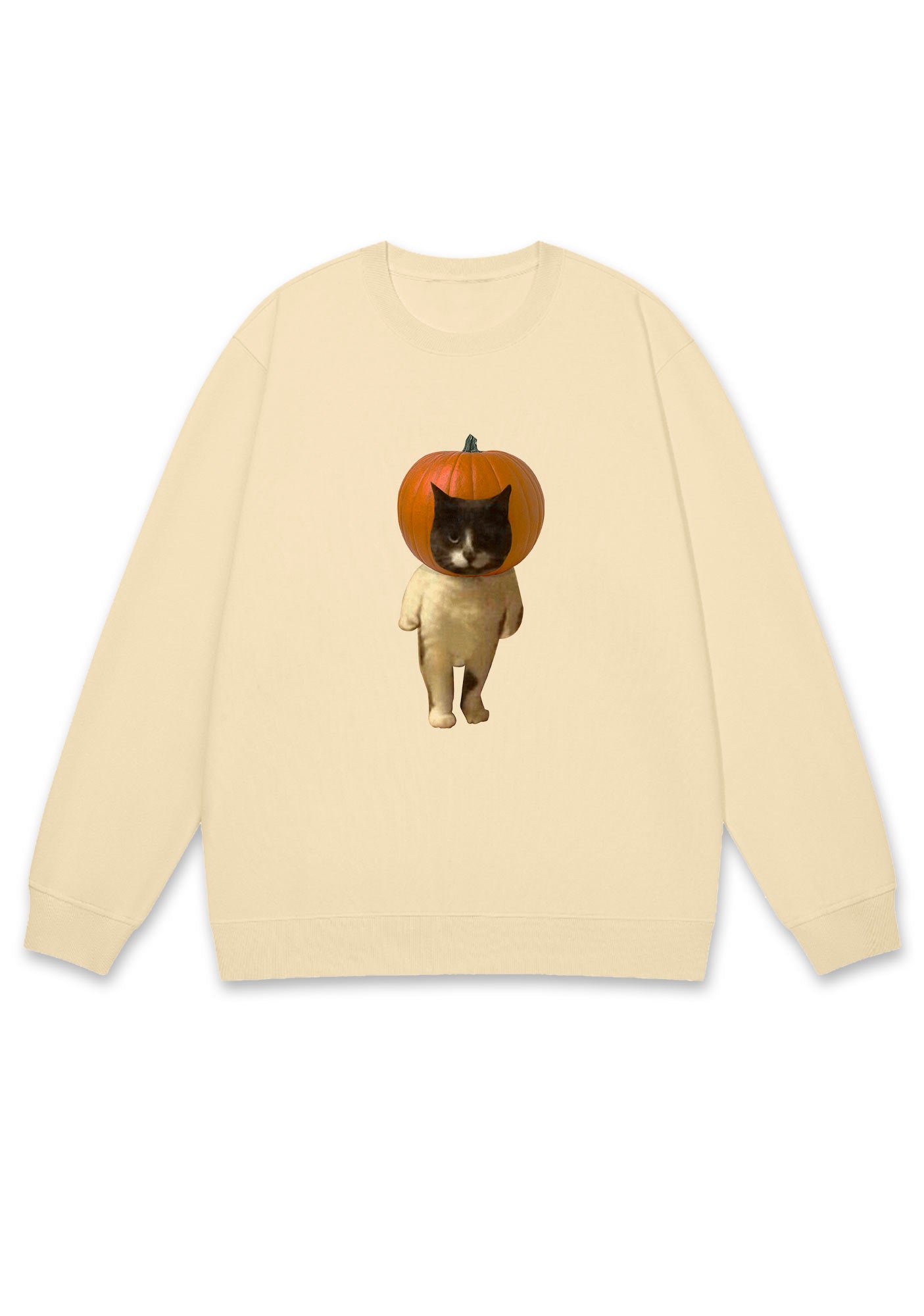 Pumpkin Head Cat Halloween Y2K Sweatshirt Cherrykitten