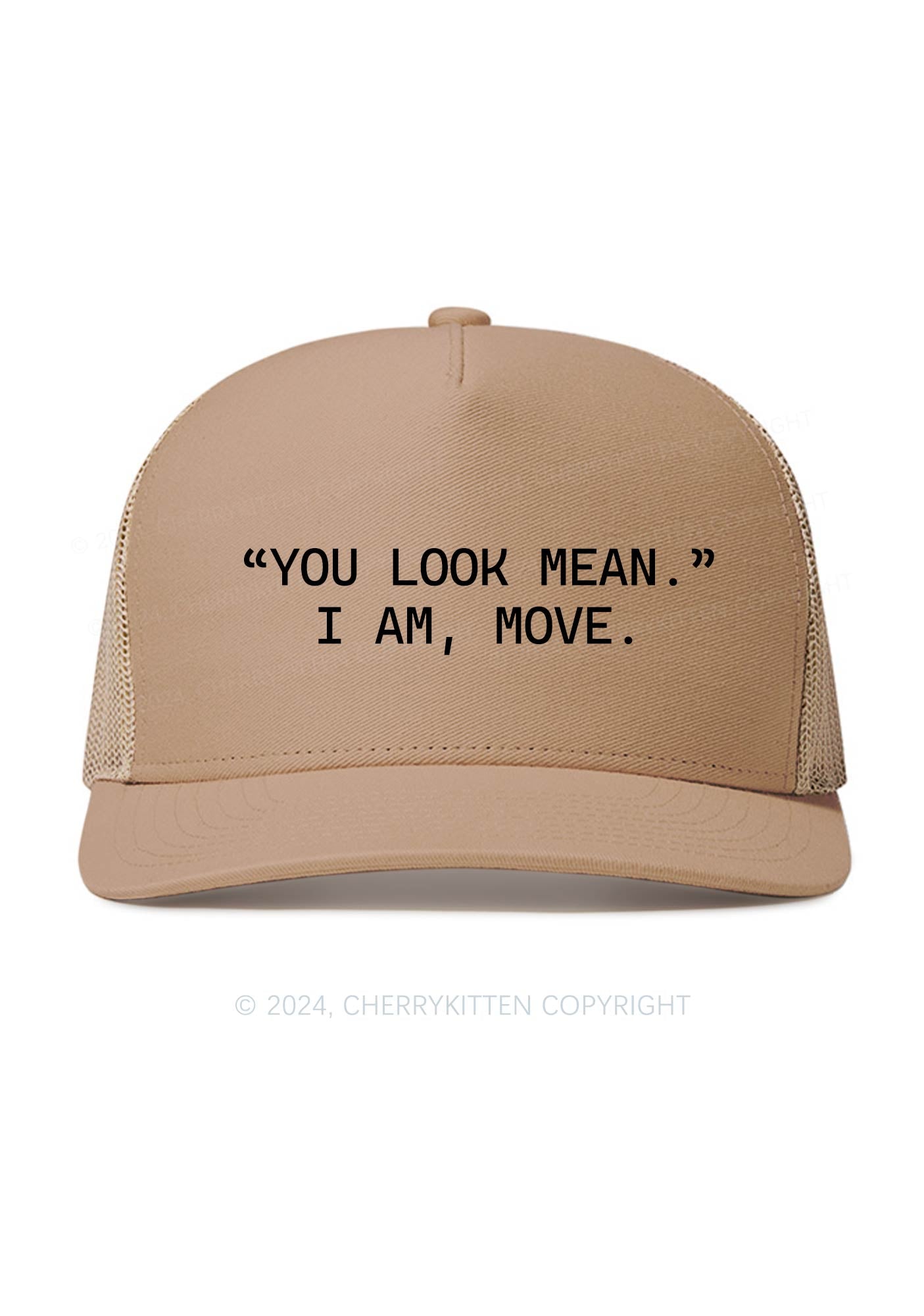 You Look Mean Y2K Trucker Mesh Hat Cherrykitten