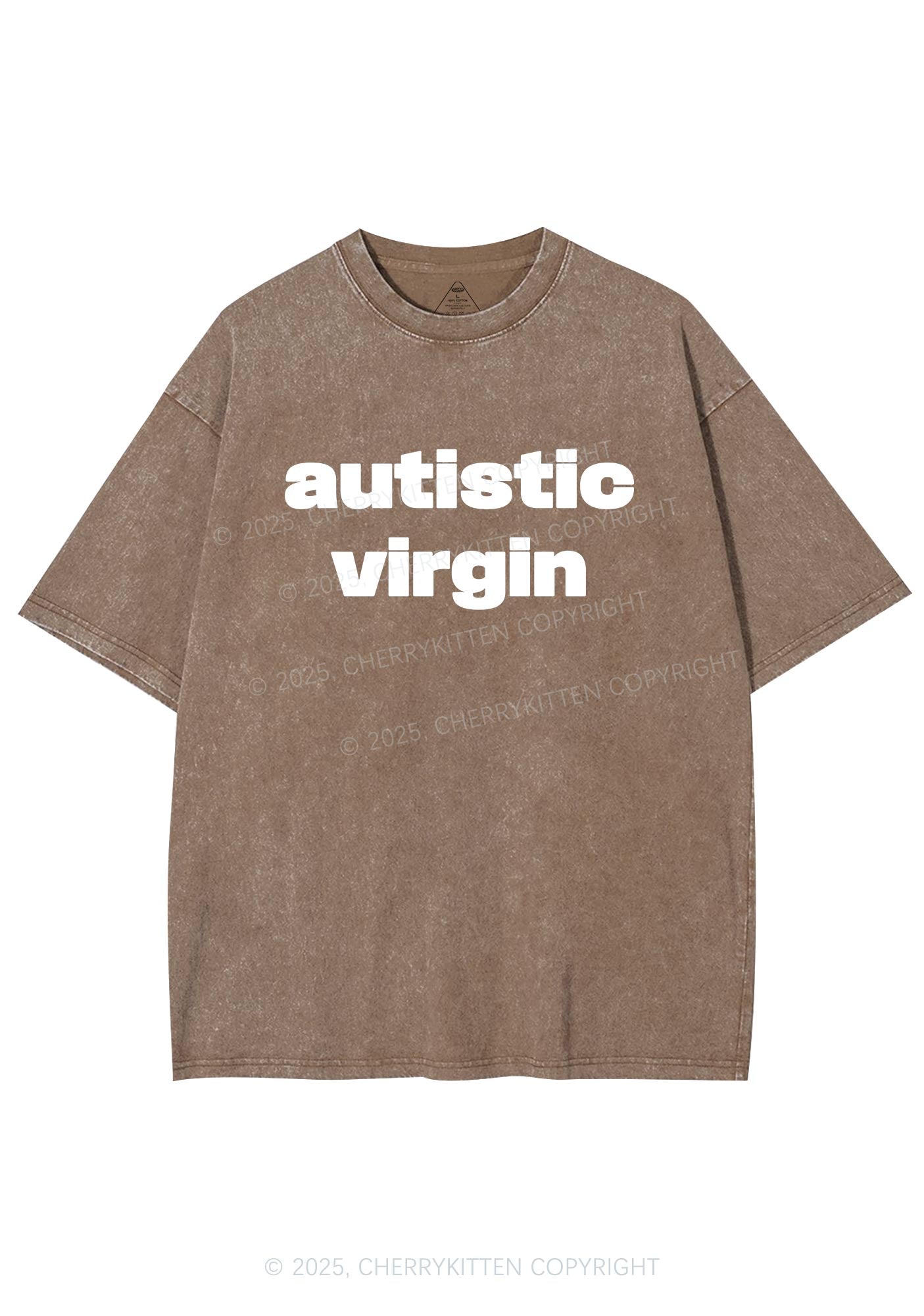 Autistic Virgin Y2K Shirts Washed Tee Cherrykitten
