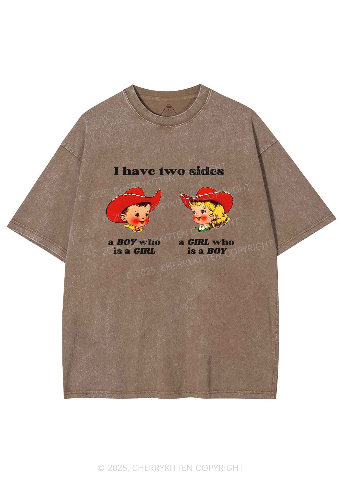 I Have Two Sides Pride Y2K Shirts Washed Tee Cherrykitten