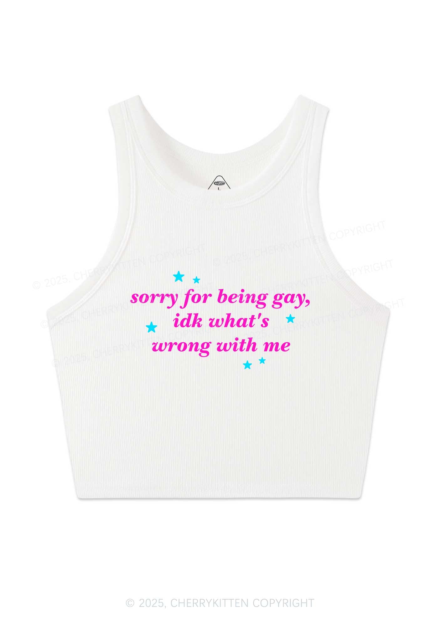 Sorry For Being Gay Pride Y2K Crop Tank Top Cherrykitten