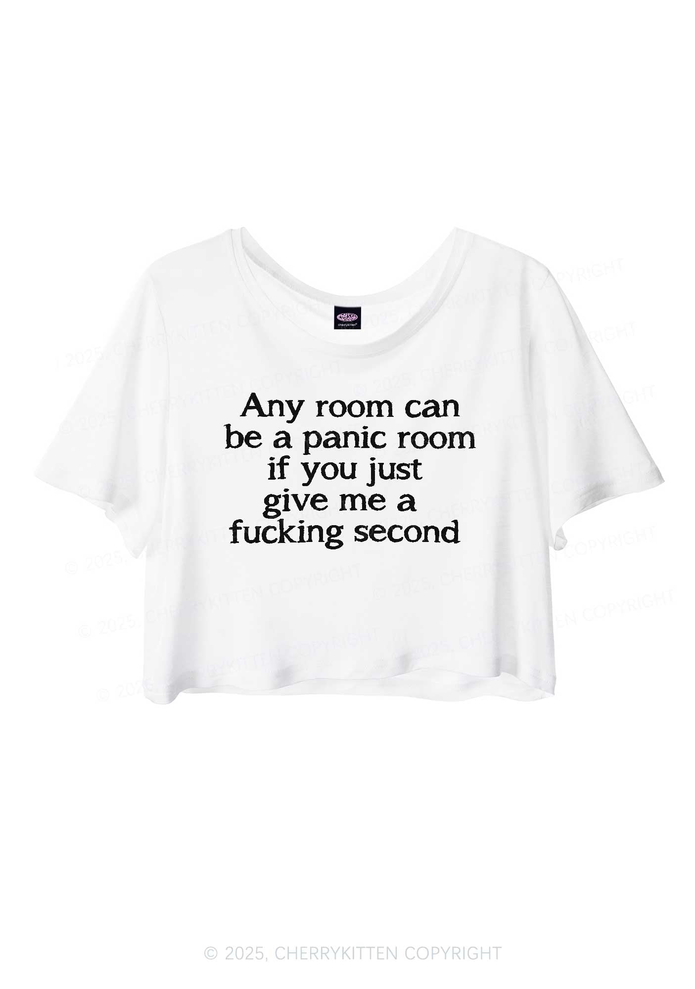 Any Room Can Be Panic Y2K Sheer Crop Tee Cherrykitten