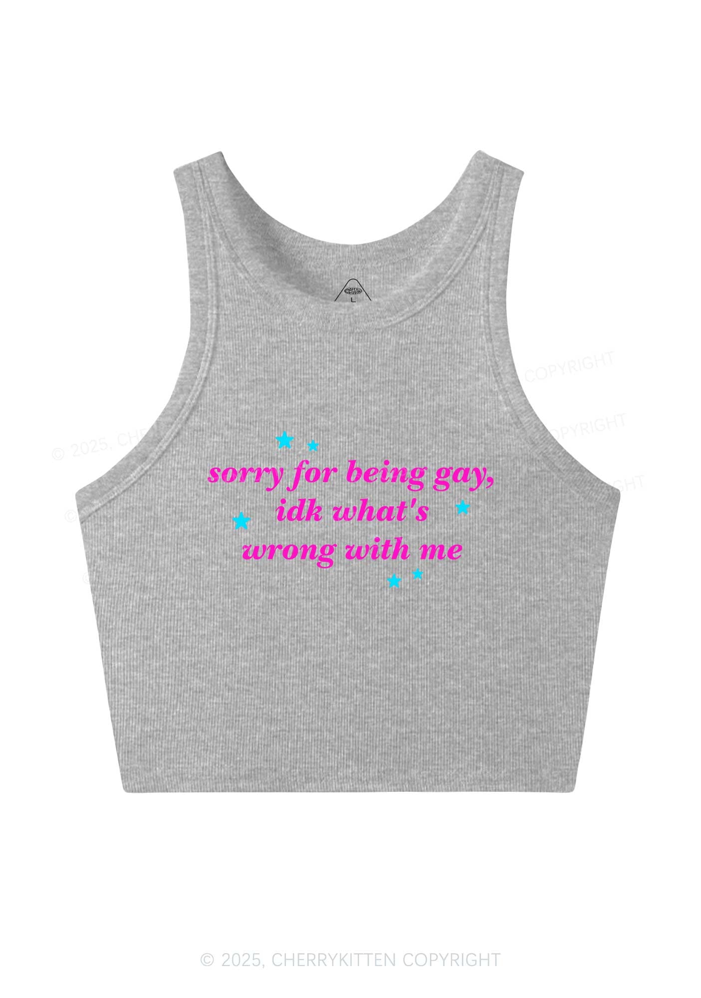 Sorry For Being Gay Pride Y2K Crop Tank Top Cherrykitten