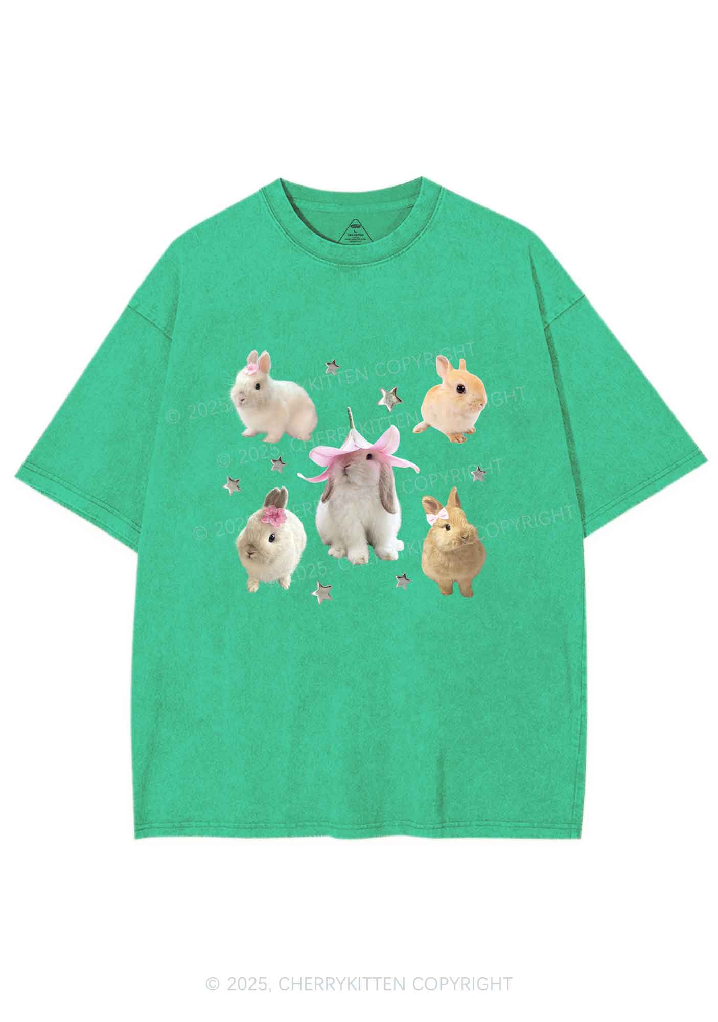 Lovely Rabbits Y2K Shirts Washed Tee Cherrykitten