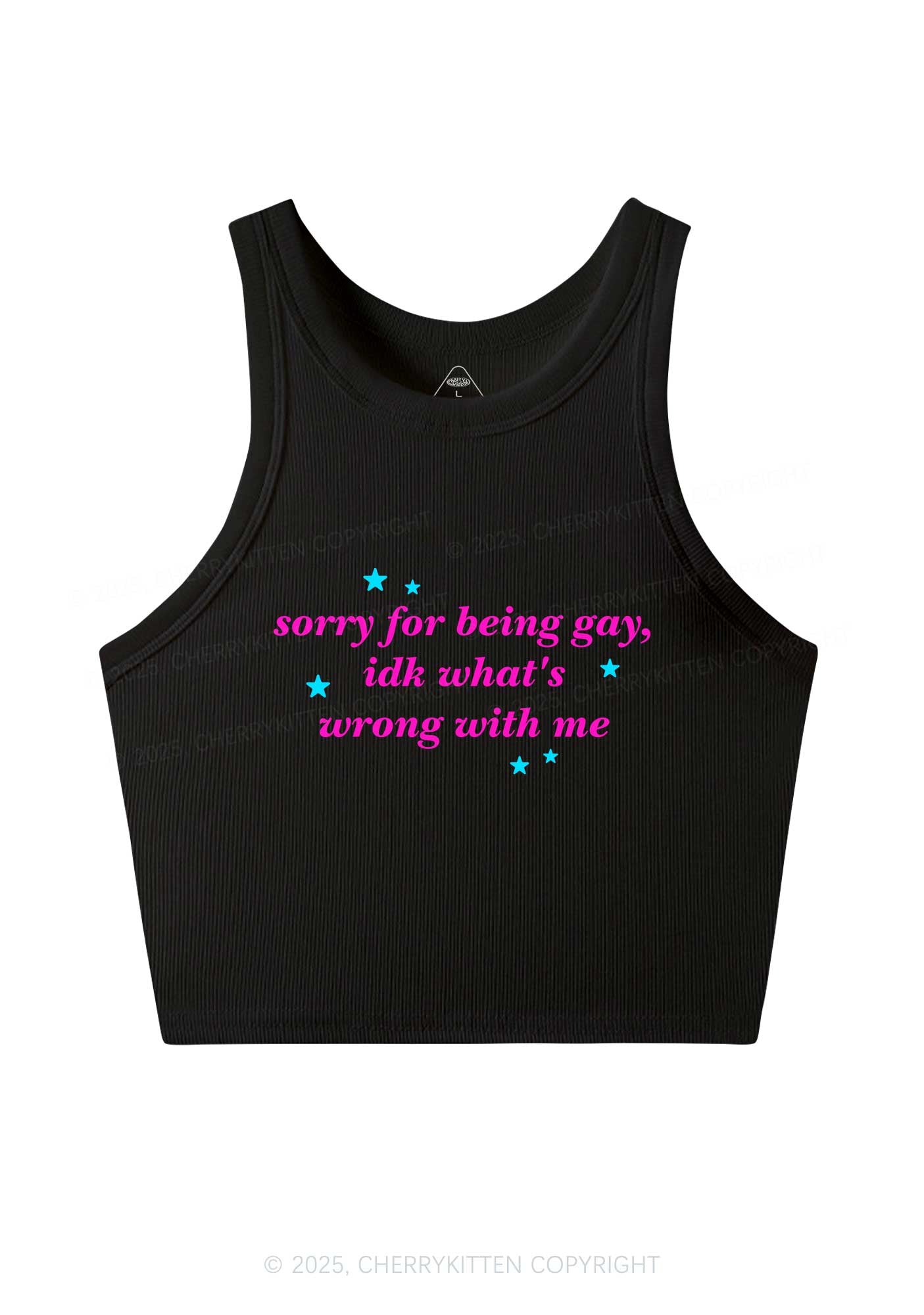 Sorry For Being Gay Pride Y2K Crop Tank Top Cherrykitten