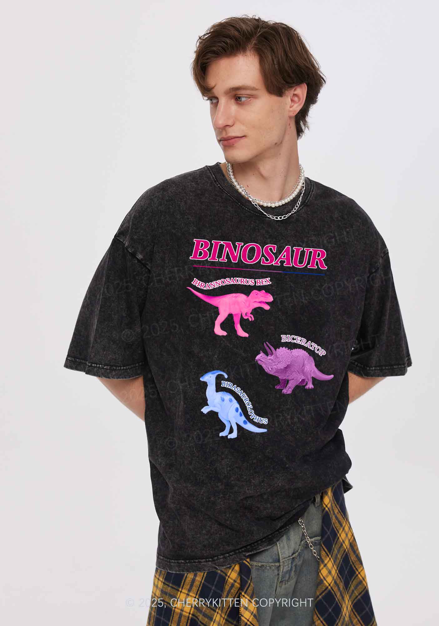 Binosaur Pride Y2K Shirts Washed Tee Cherrykitten