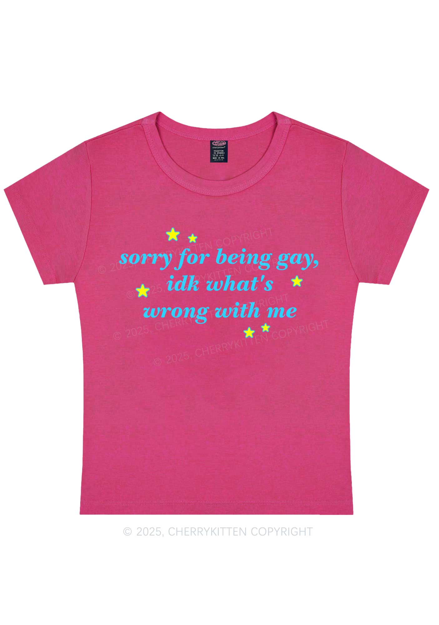 Sorry For Being Gay Pride Y2K Baby Tee Cherrykitten