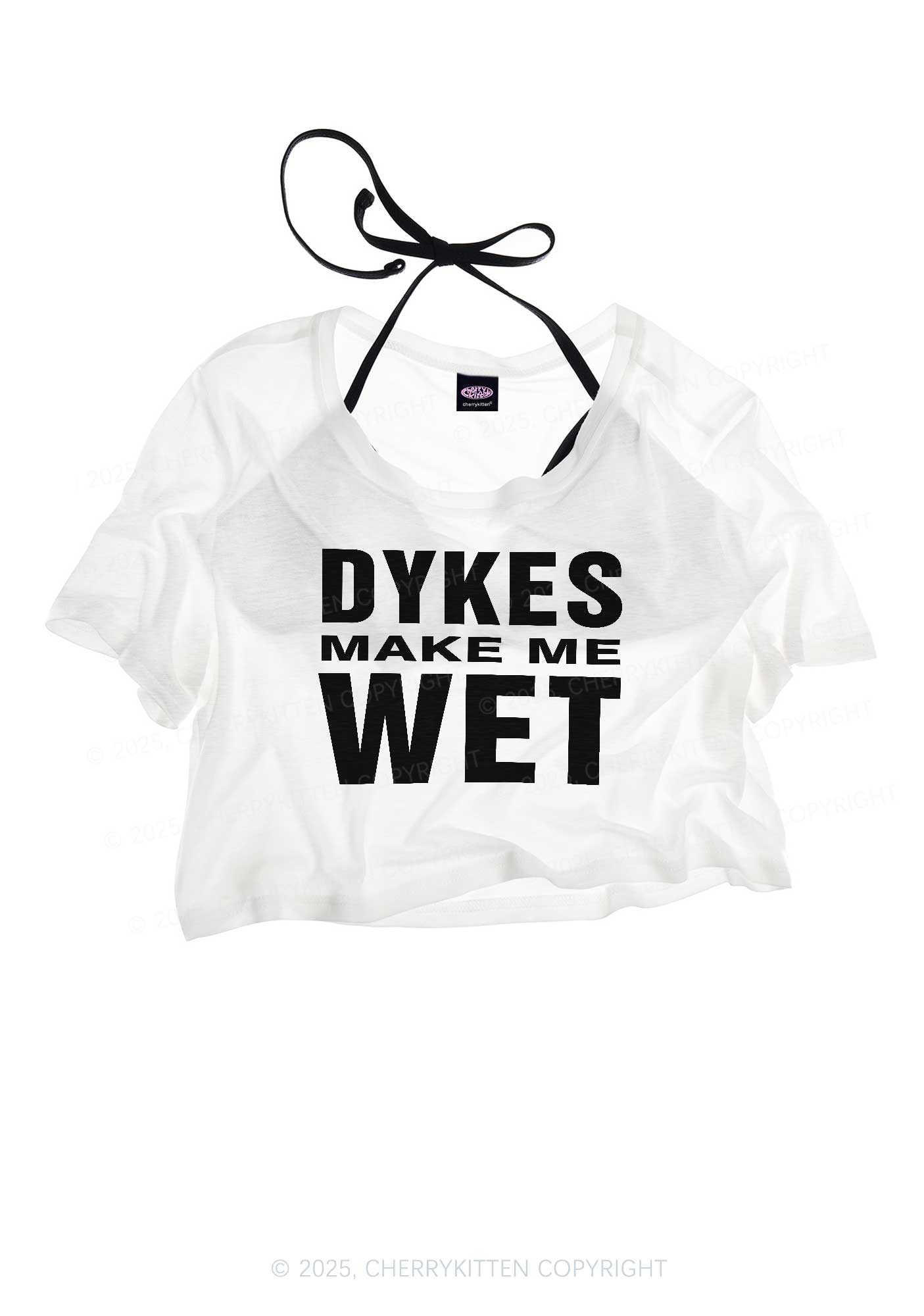 Dykes Make Me Wet Pride Y2K Sheer Crop Tee Cherrykitten