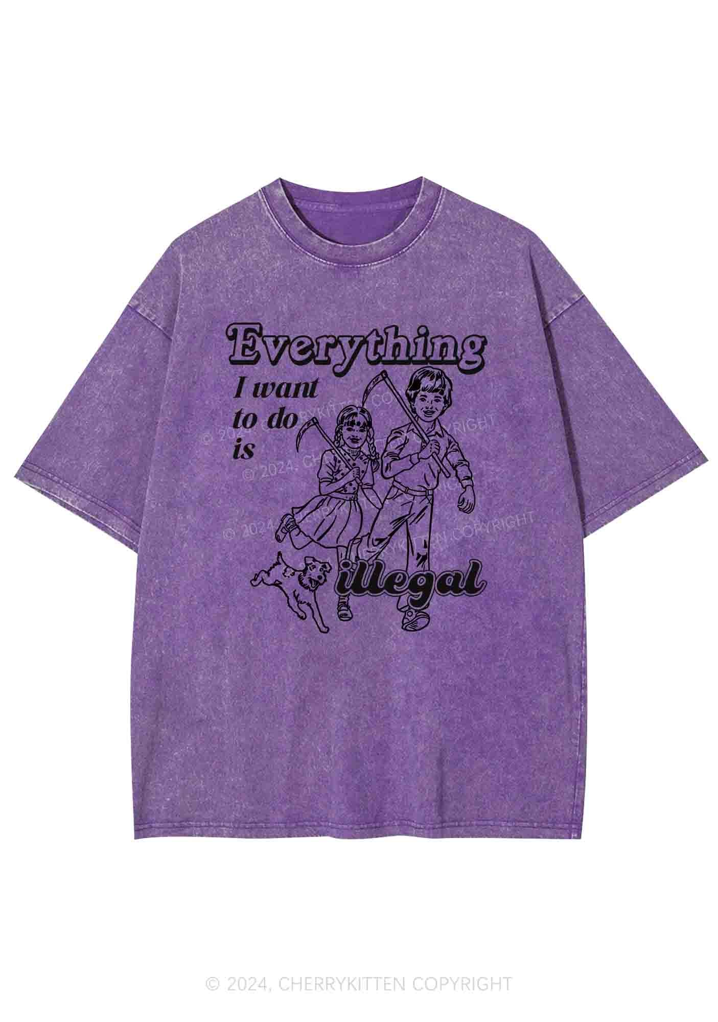 Everything Is Illegal Y2K Washed Tee Cherrykitten