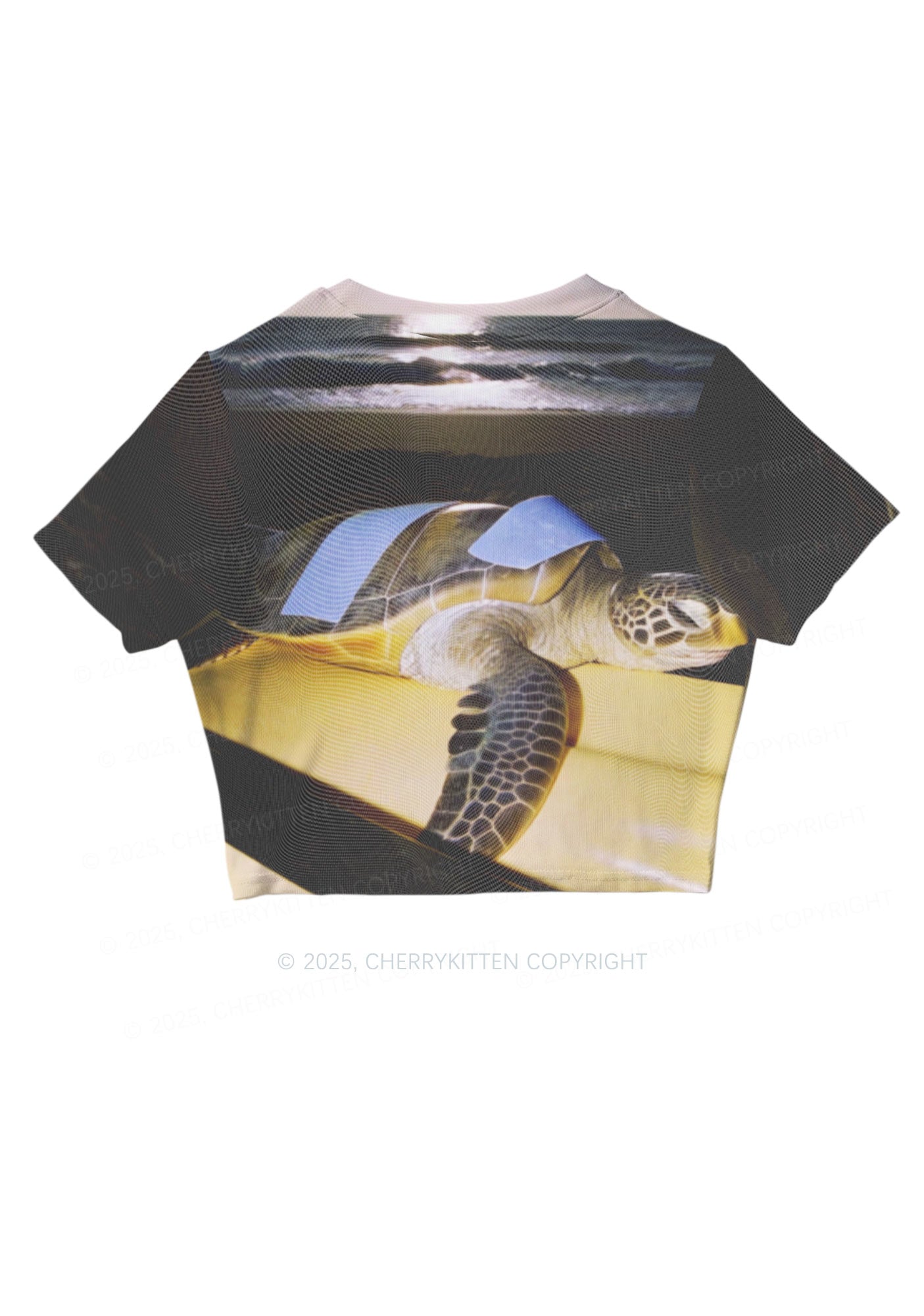 Turtle On Surfboard Y2K Mesh Crop Top Cherrykitten