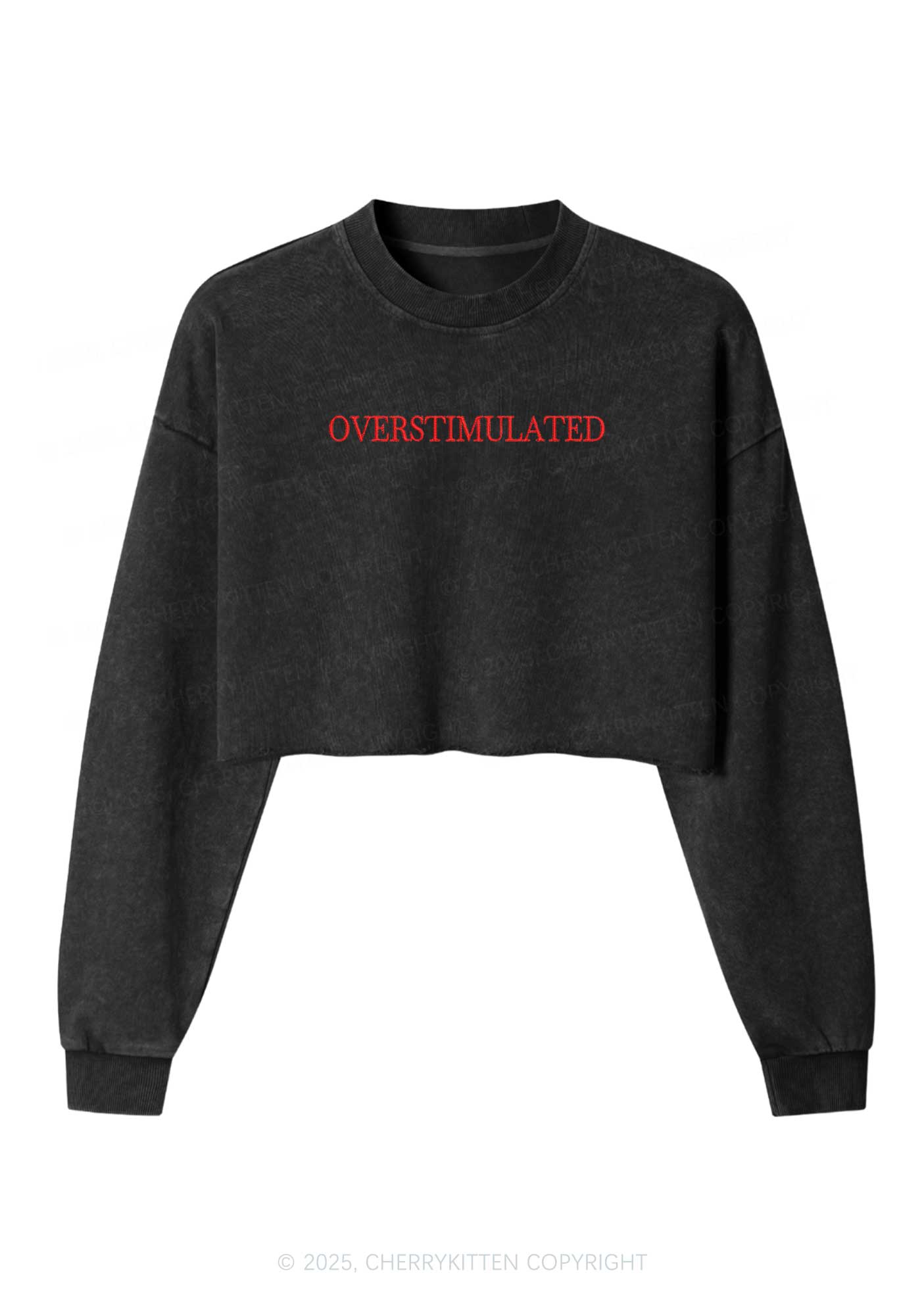 Embroidered Overstimulated Y2K Crop Washed Sweatshirts Cherrykitten