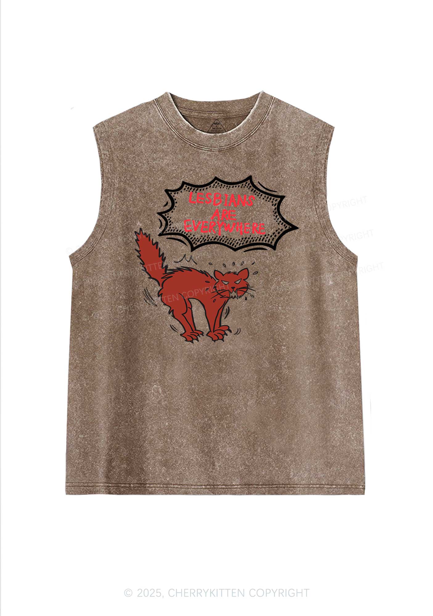 Lesbians Are Everywhere Pride Y2K Washed Muscle Tank Cherrykitten