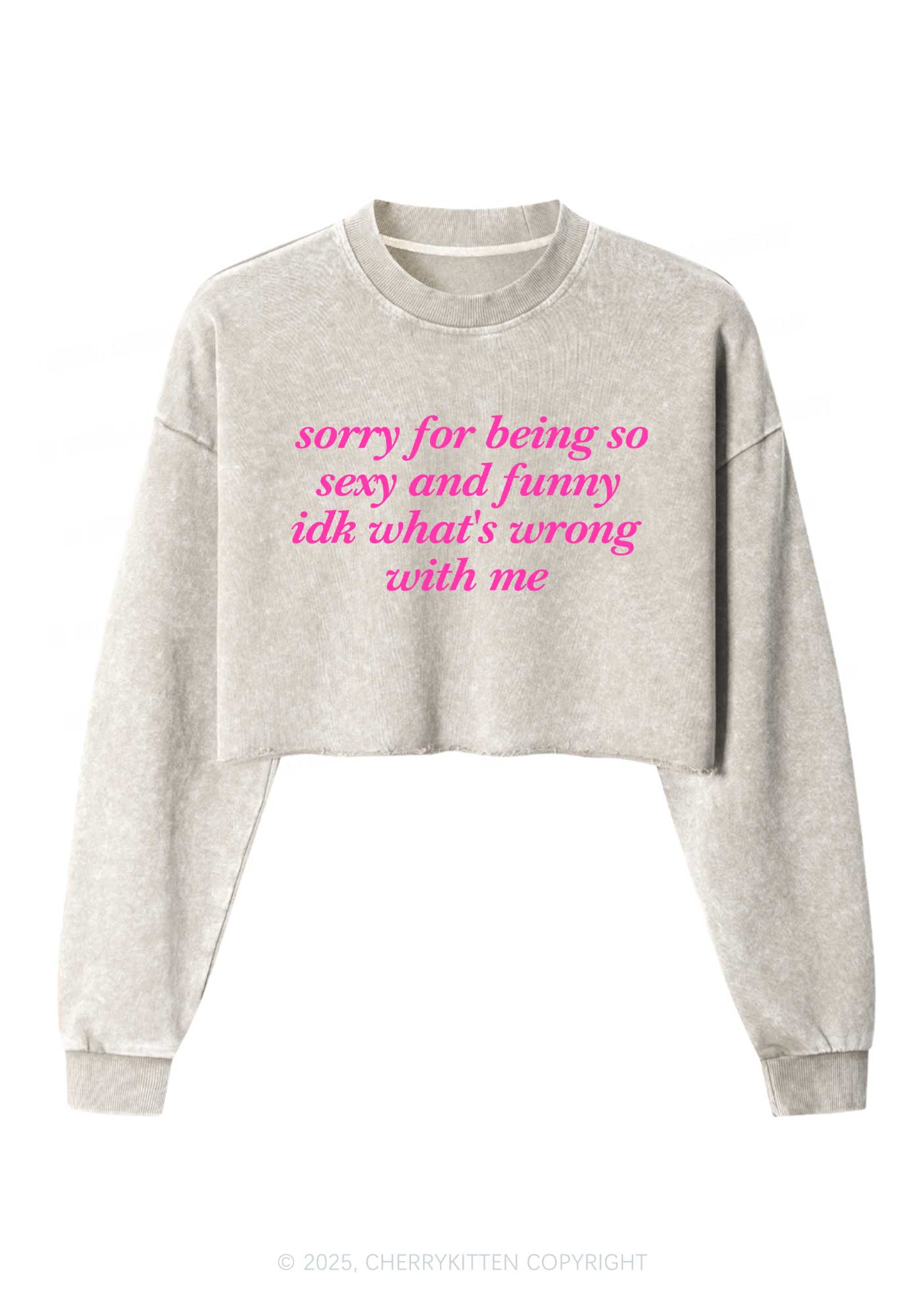 Sorry For Being So Funny Y2K Crop Washed Sweatshirts Cherrykitten