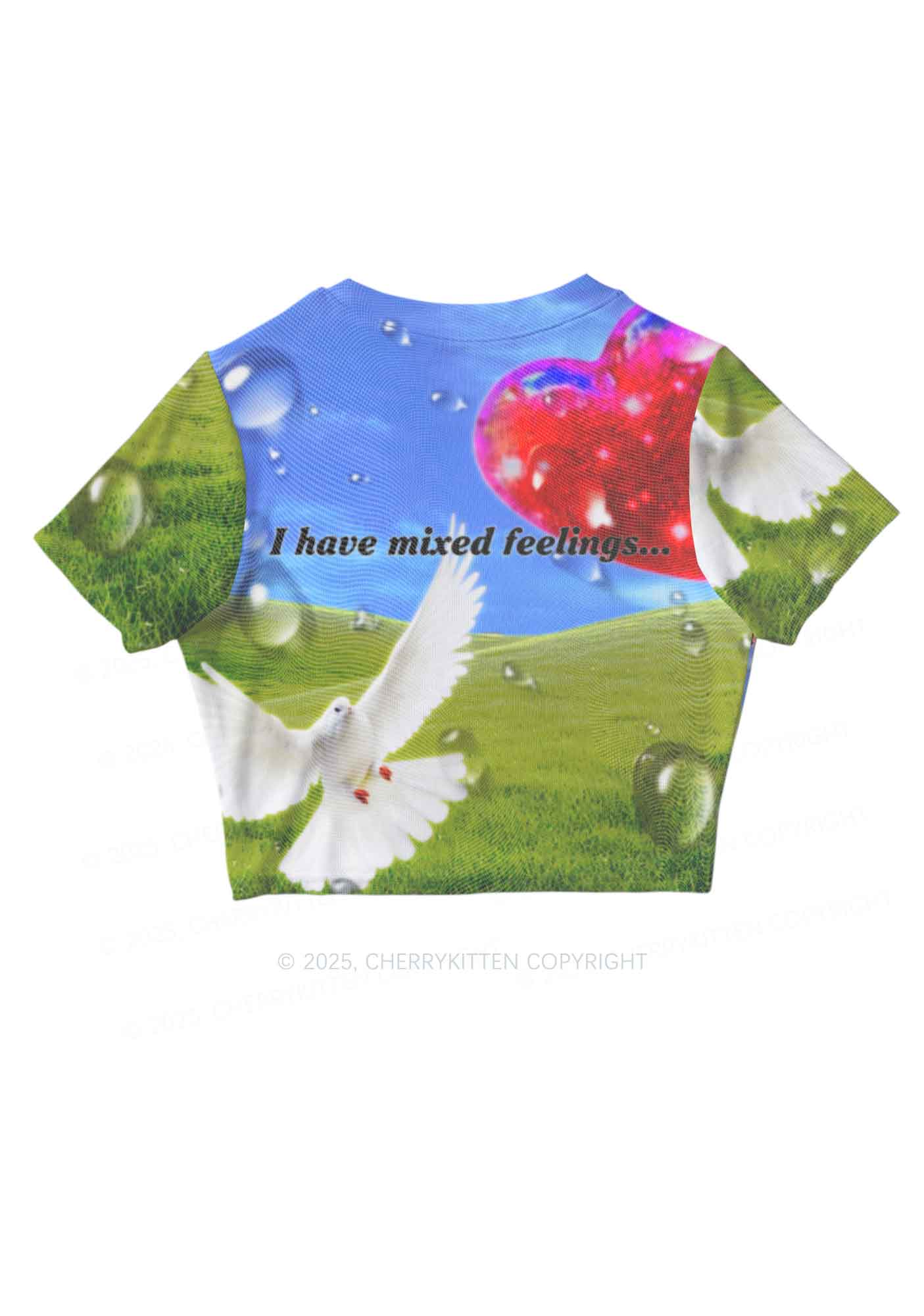 Dove And Mixed Feelings Y2K Mesh Crop Top Cherrykitten