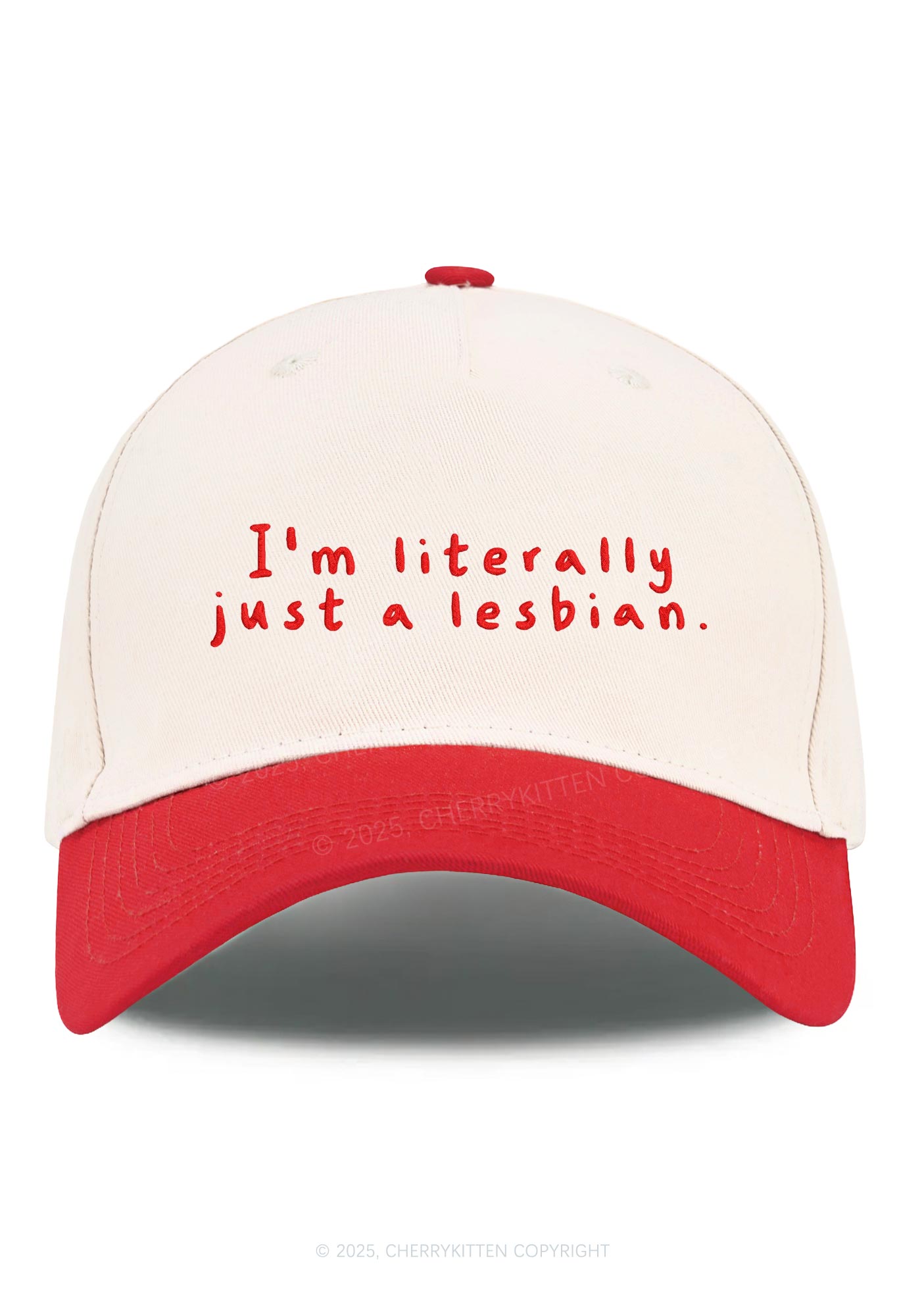 Embroidered Just A Lesbian Pride Y2K Color Block Baseball Cap Cherrykitten