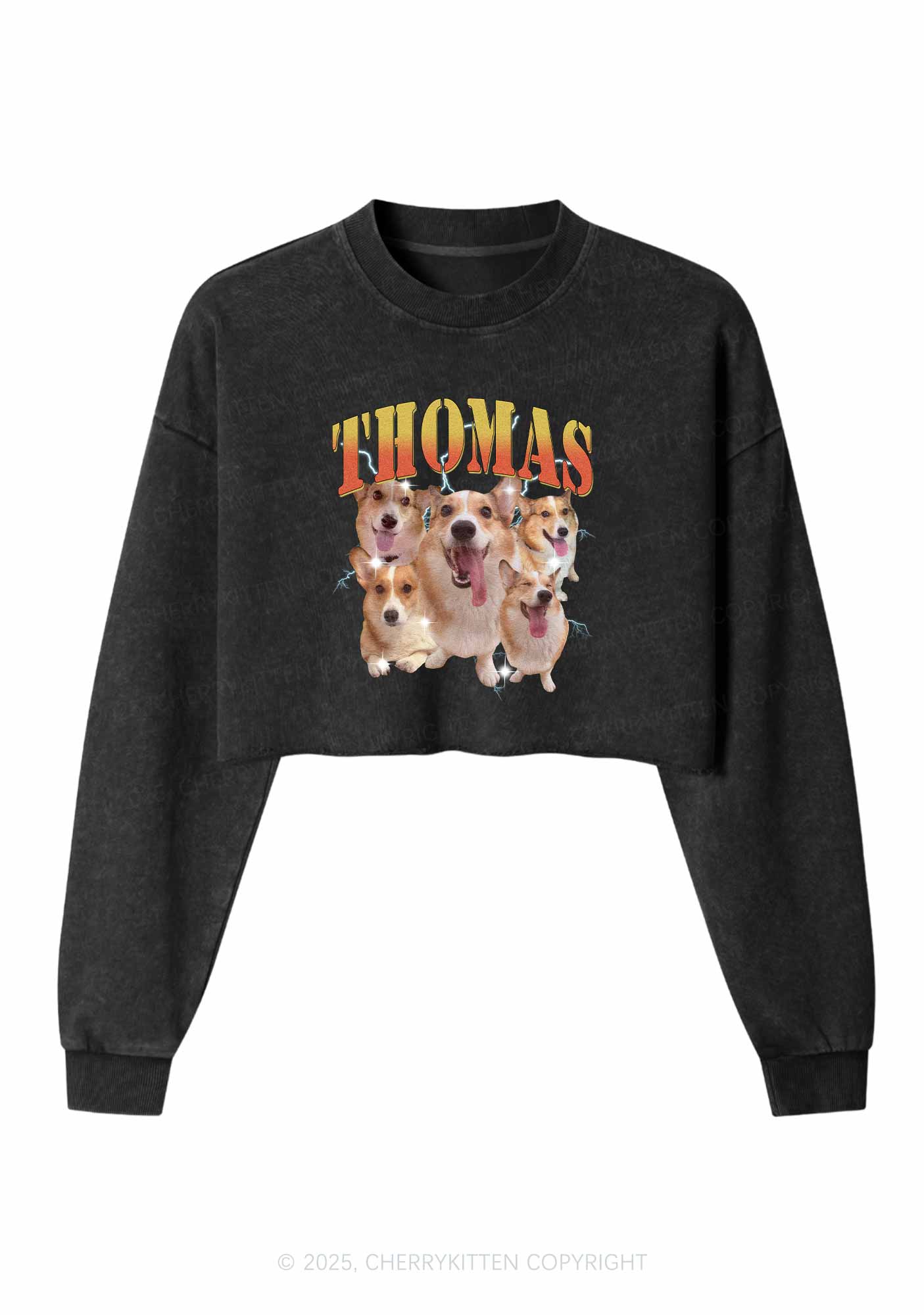 Custom Pet Photo Y2K Crop Washed Sweatshirts Cherrykitten