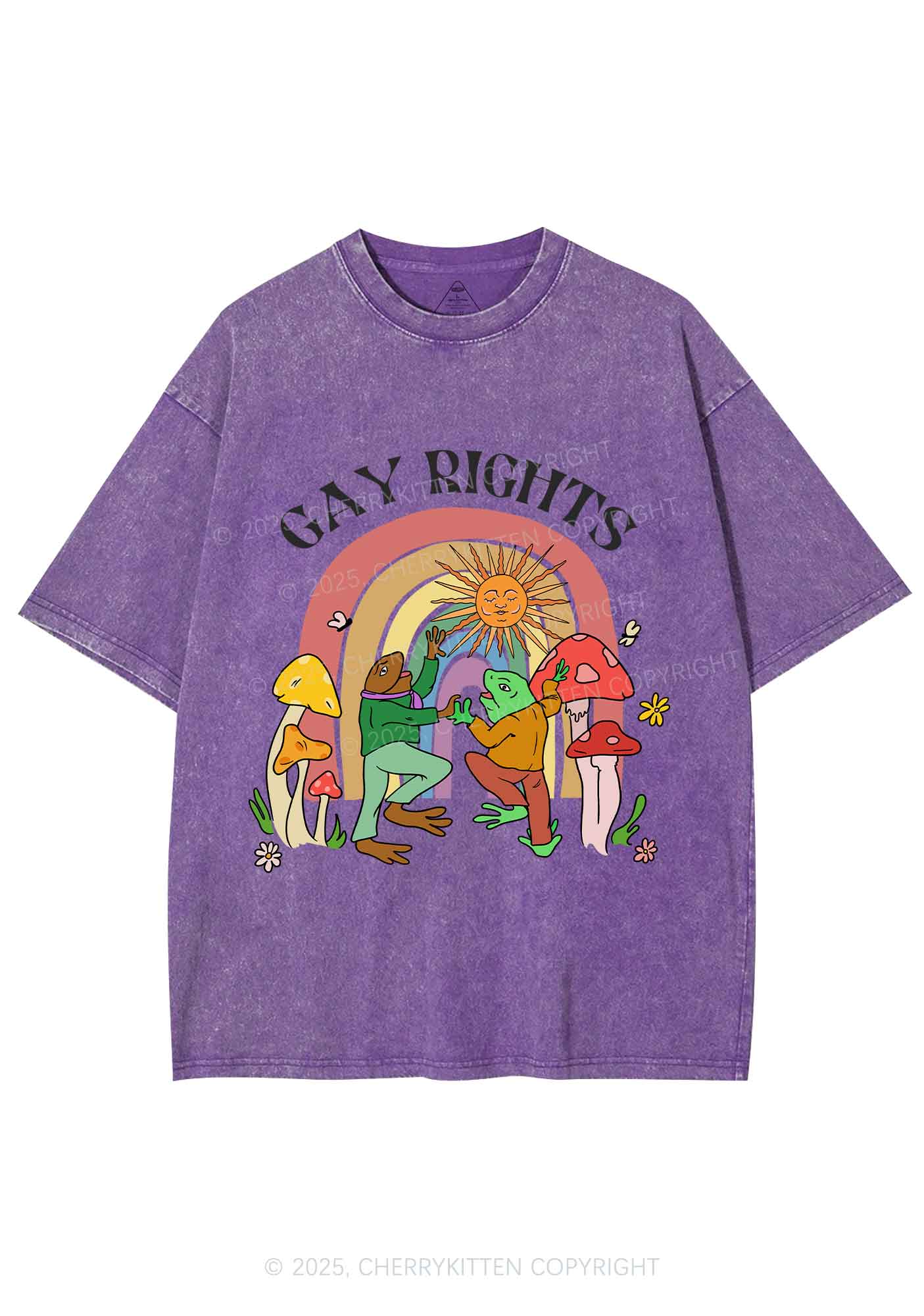 Gay Rights Pride Y2K Shirts Washed Tee Cherrykitten