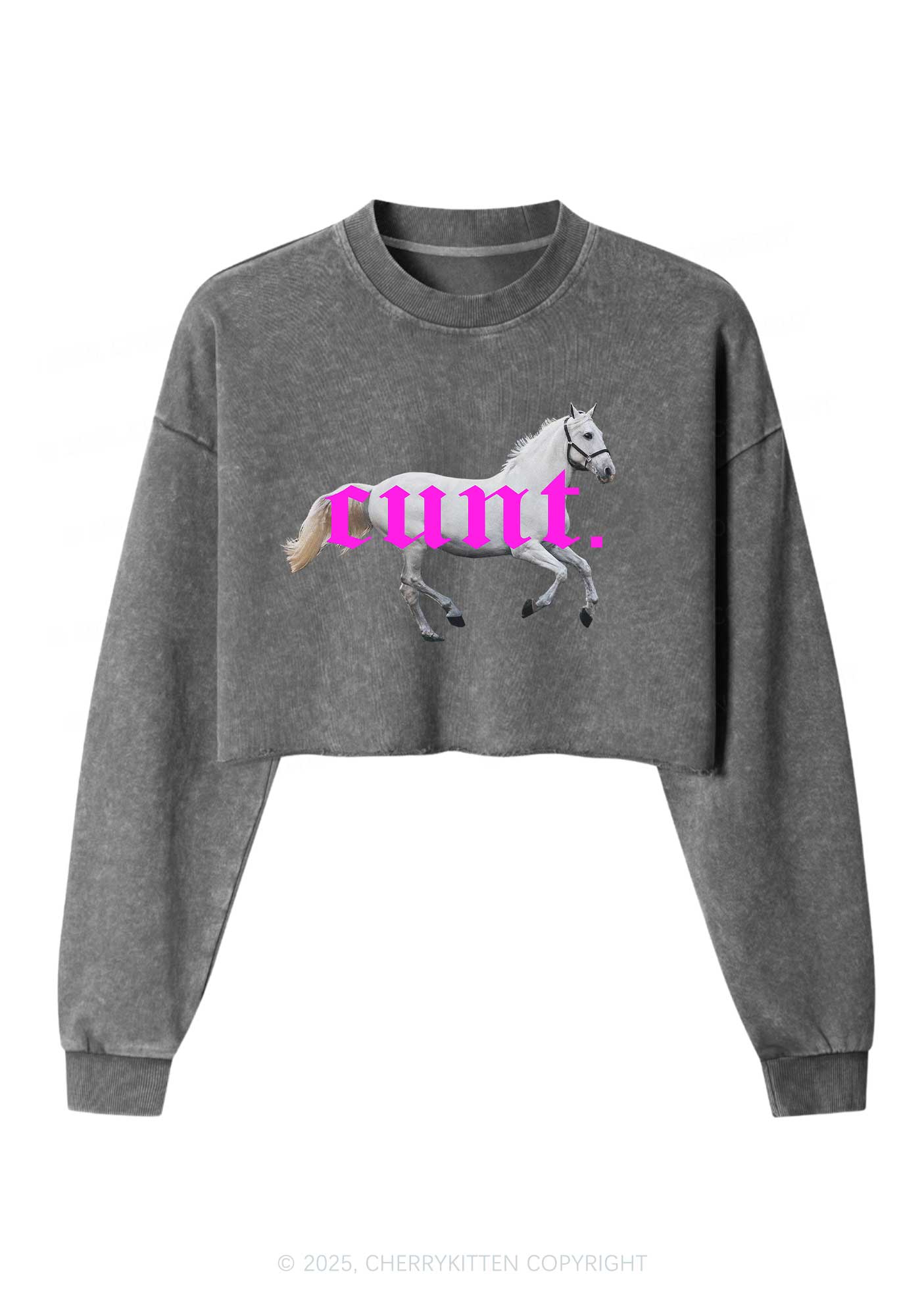 Cxxt Horse Y2K Crop Washed Sweatshirts Cherrykitten