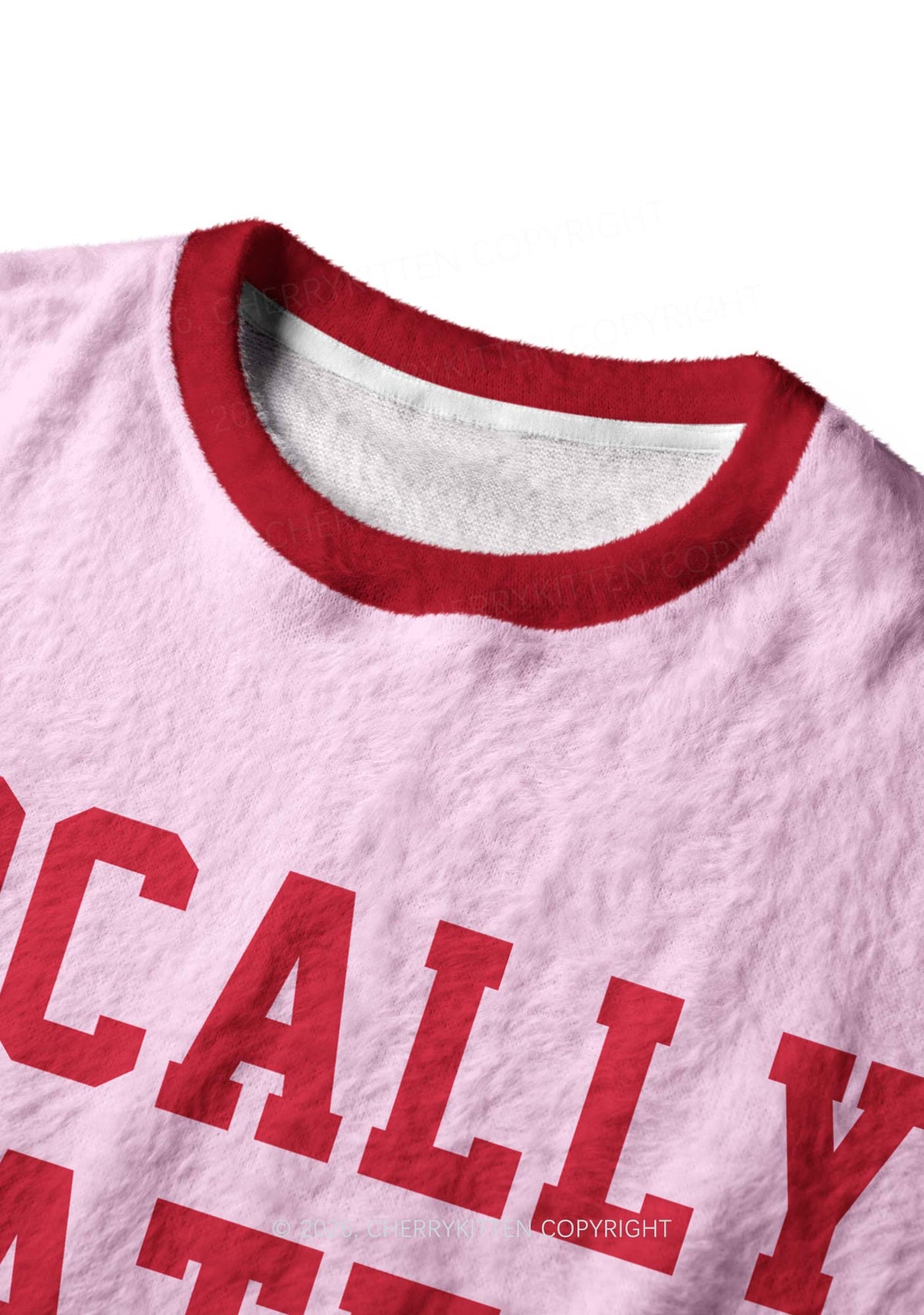 Locally Hated Y2K Knit Sweatshirt Cherrykitten