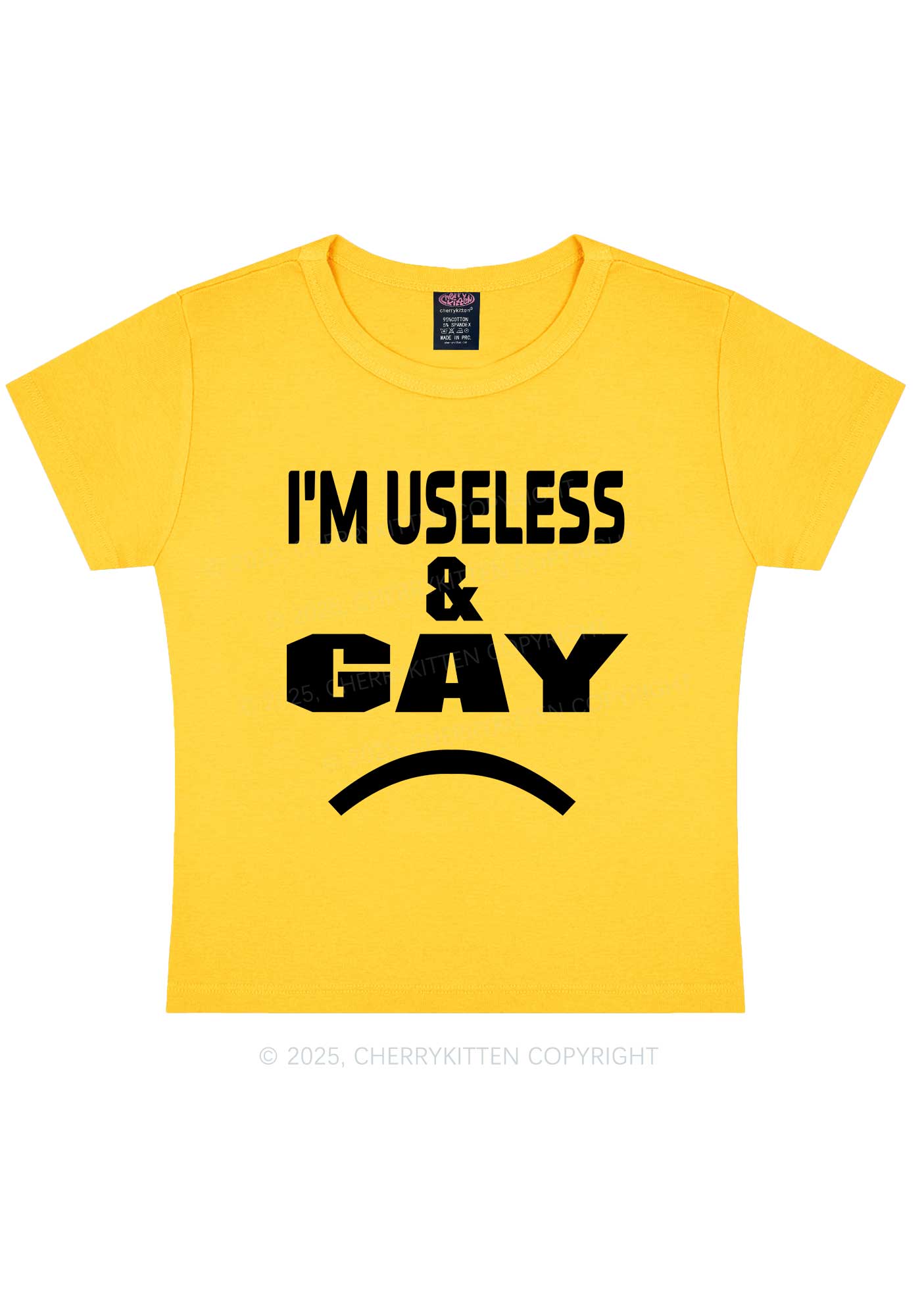 Useless Gay Pride Y2K Baby Tee Cherrykitten