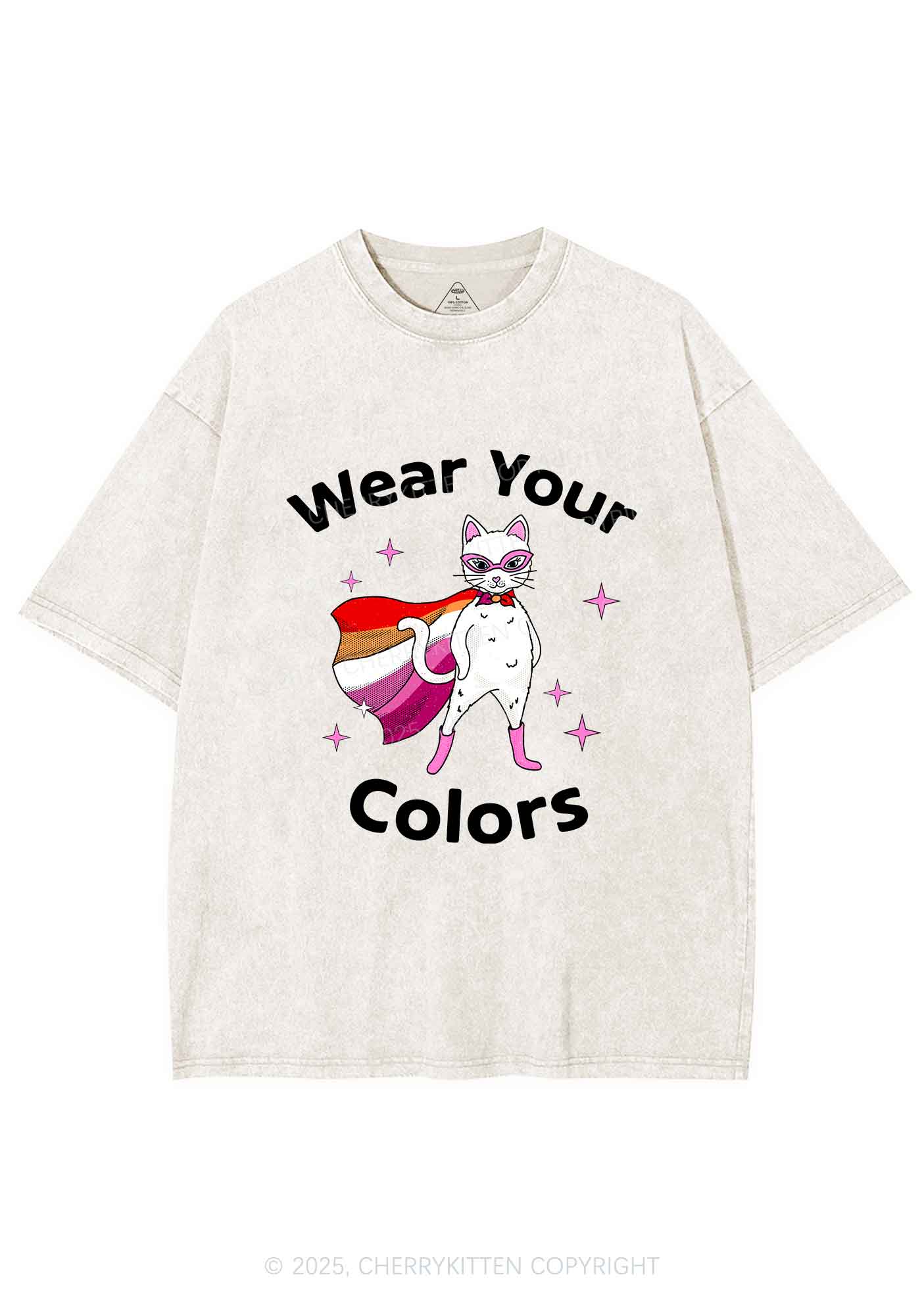 Lesbian Flag Cat Pride Y2K Shirts Washed Tee Cherrykitten