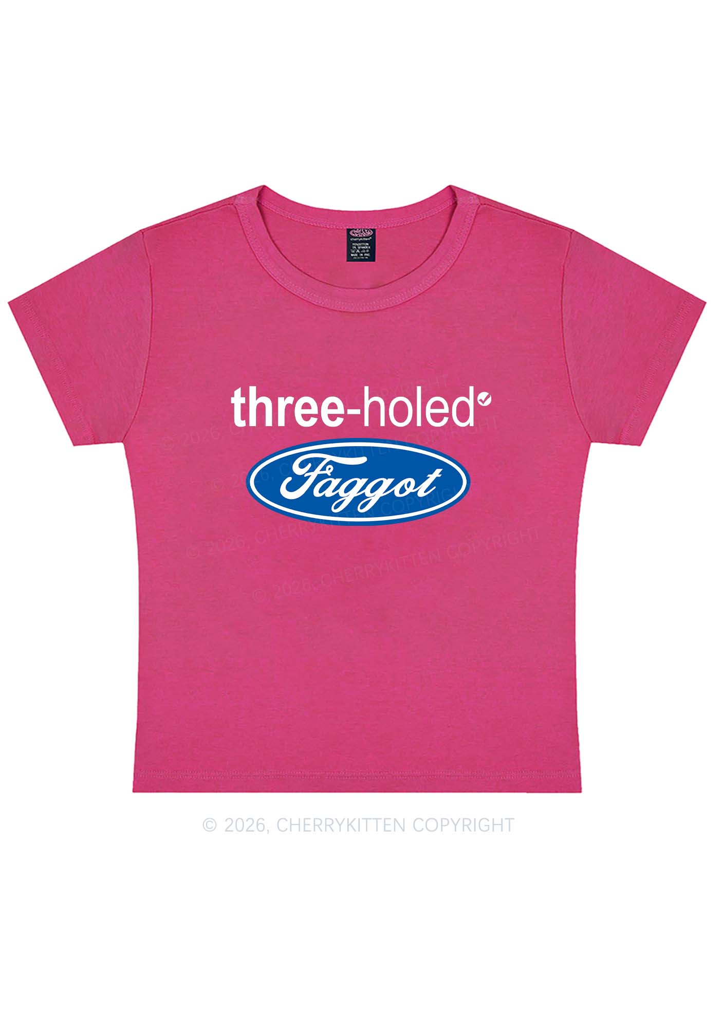 Three Holed Faggot Pride Y2K Baby Tee Cherrykitten