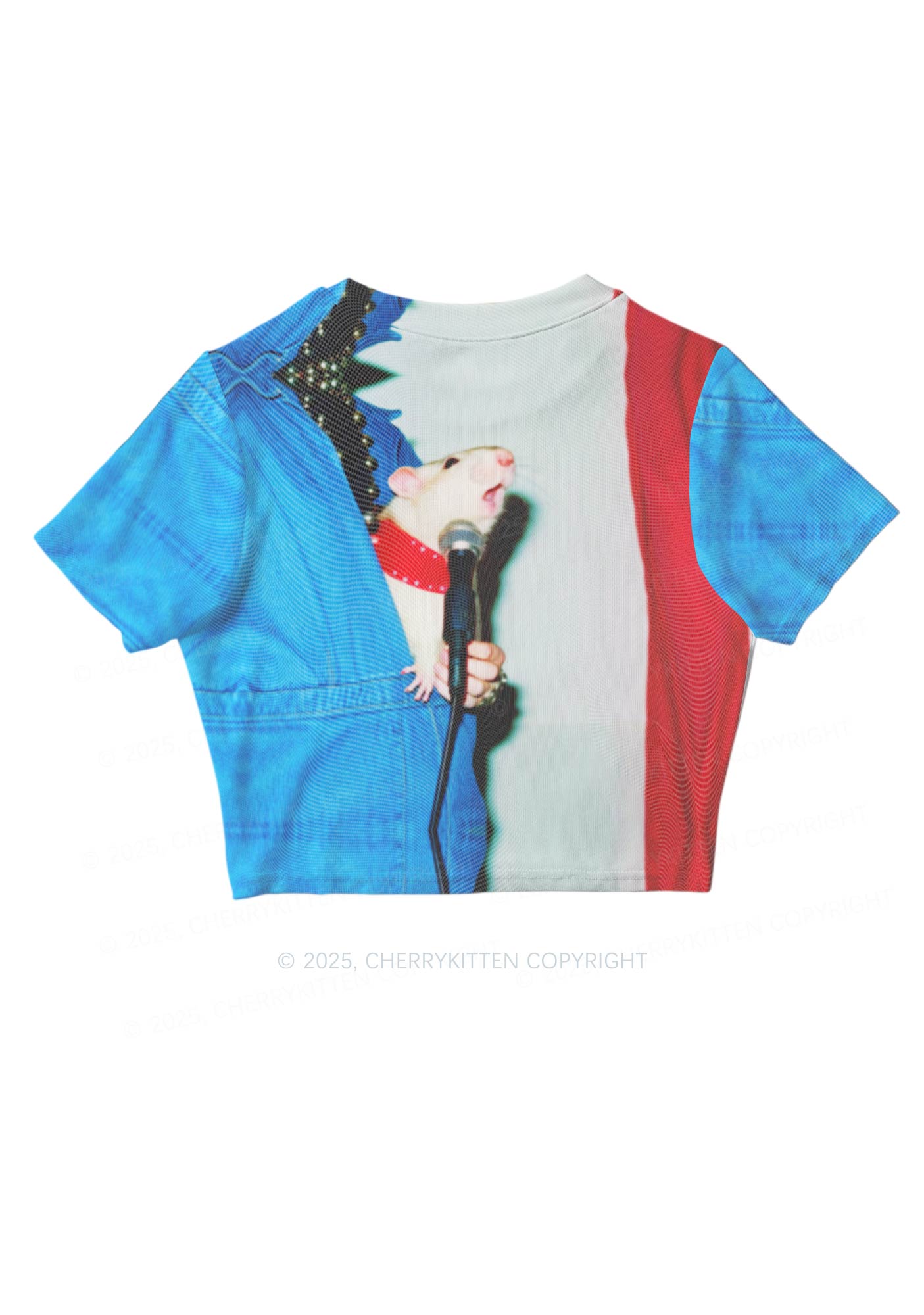 Singer Ratz Y2K Mesh Crop Top Cherrykitten