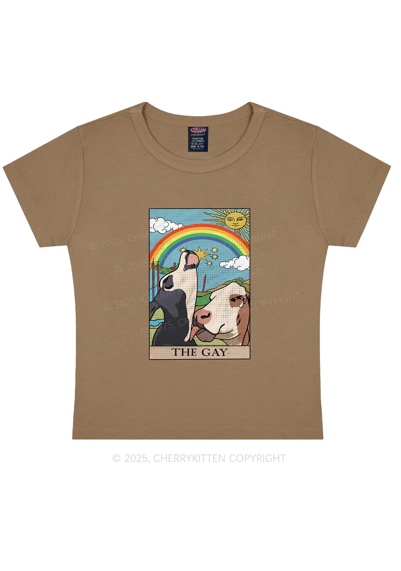 The Gay Pride Y2K Baby Tee Cherrykitten