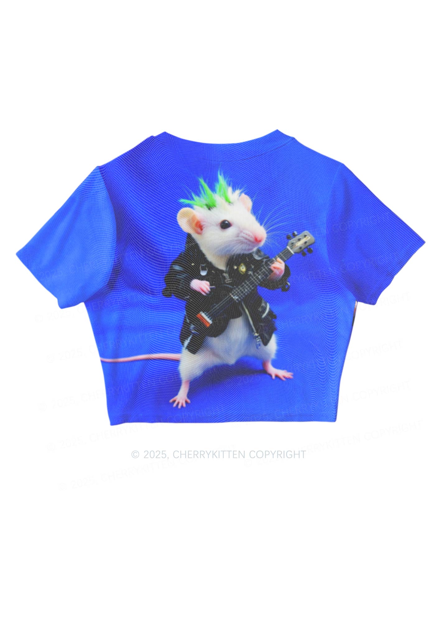 Guitar Playing Ratz Y2K Mesh Crop Top Cherrykitten