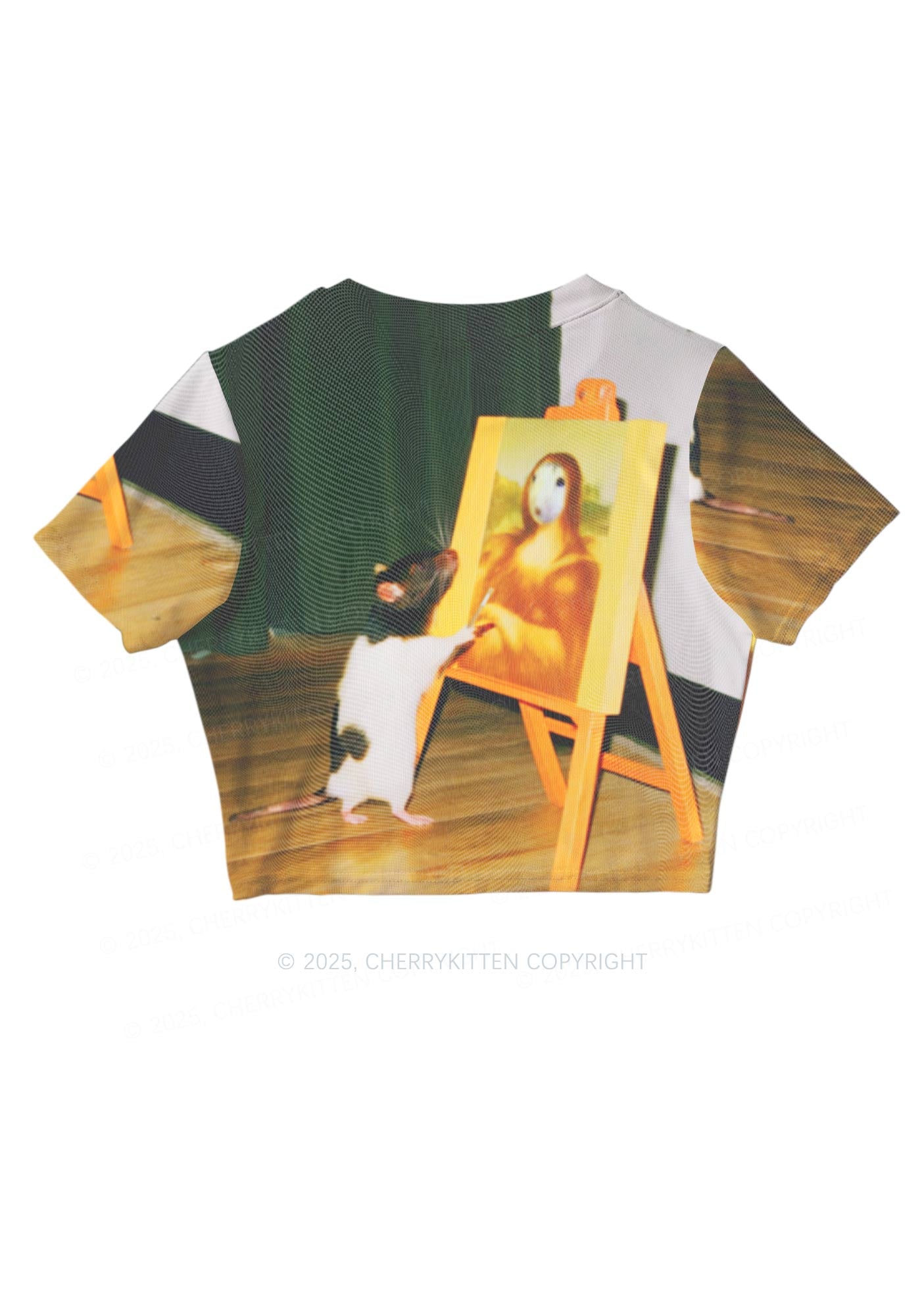 Painting Ratz Y2K Mesh Crop Top Cherrykitten