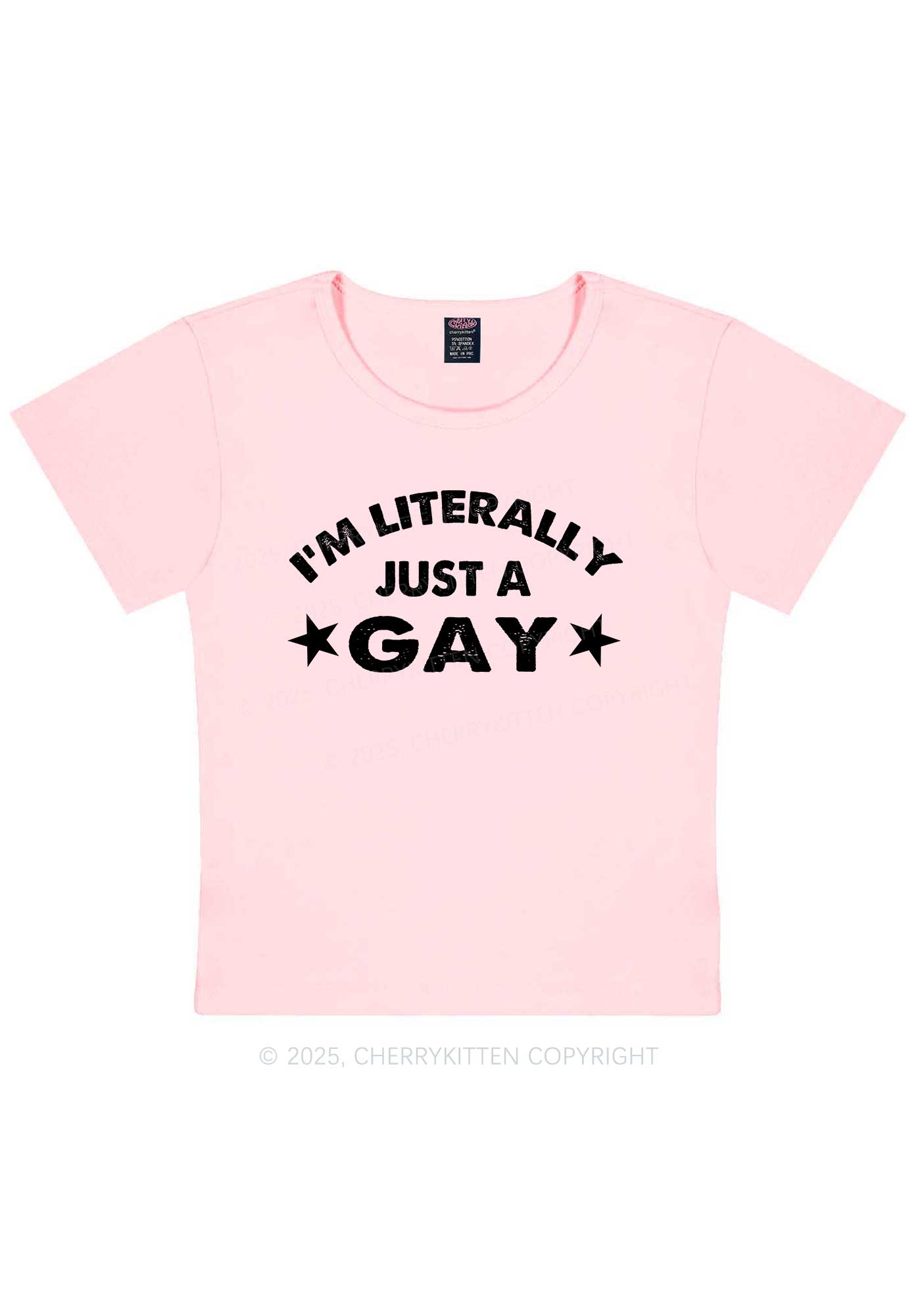 Literally Just A Gay Pride Y2K Baby Tee Cherrykitten