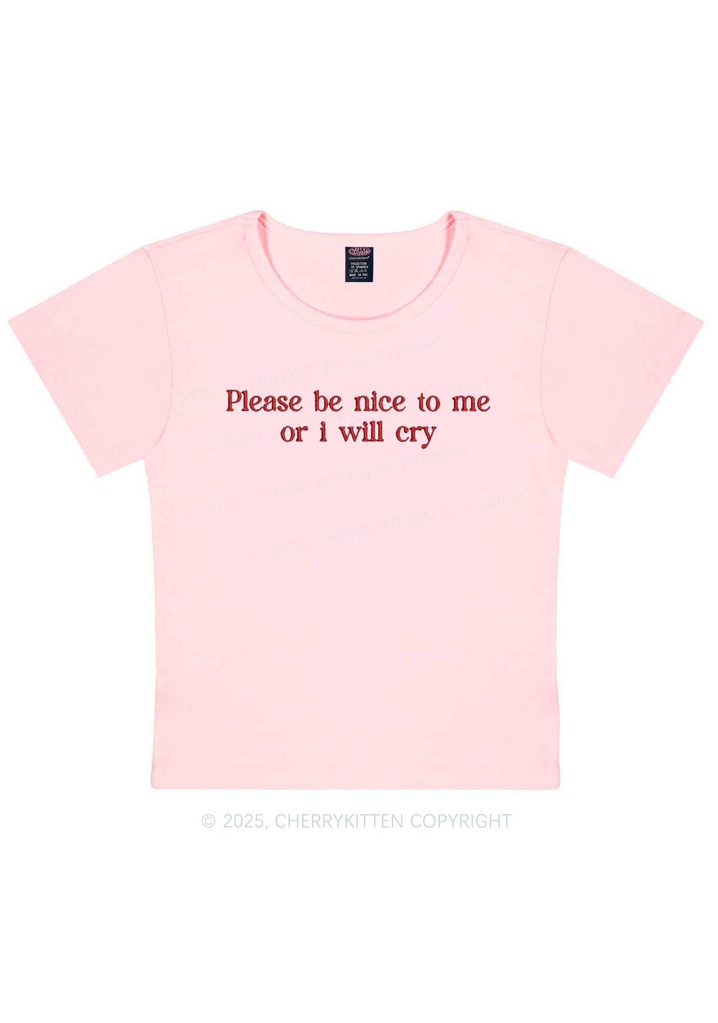 Embroidered Please Be Nice To Me Y2K Baby Tee Cherrykitten