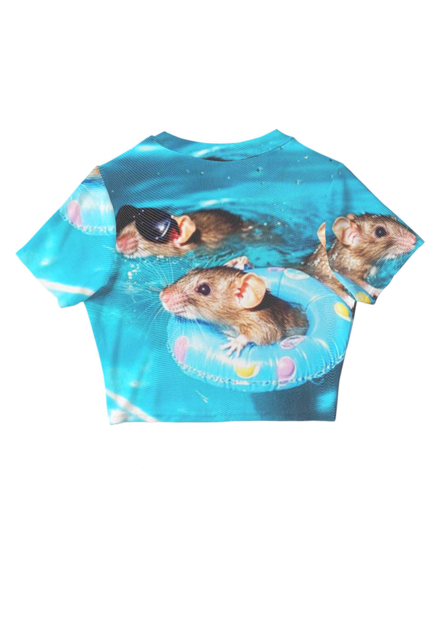 Pool Rats Y2K Mesh Crop Top Cherrykitten