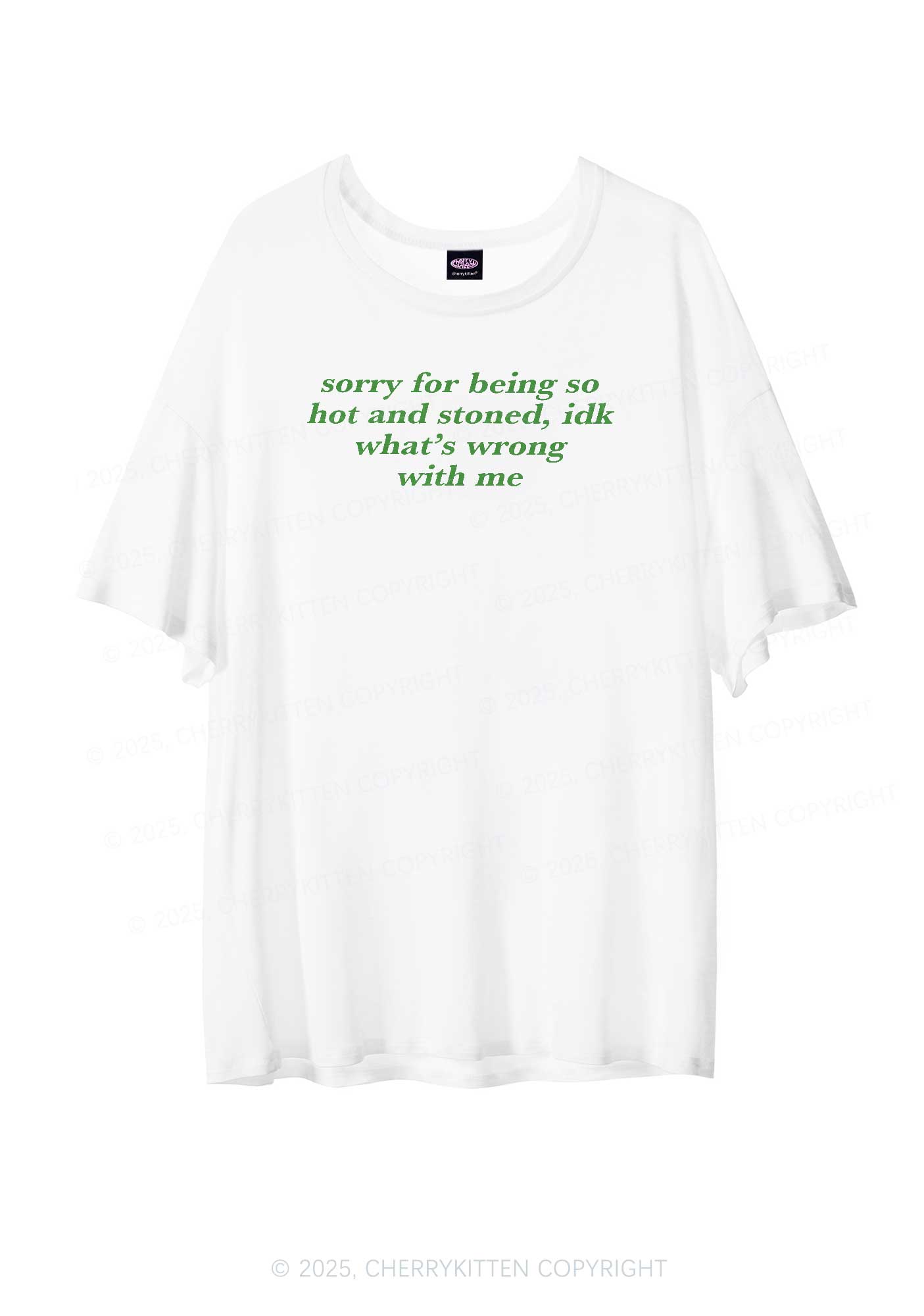 Sorry For Being Hot And Stoned Y2K Sheer Boyfriend Tee Cherrykitten