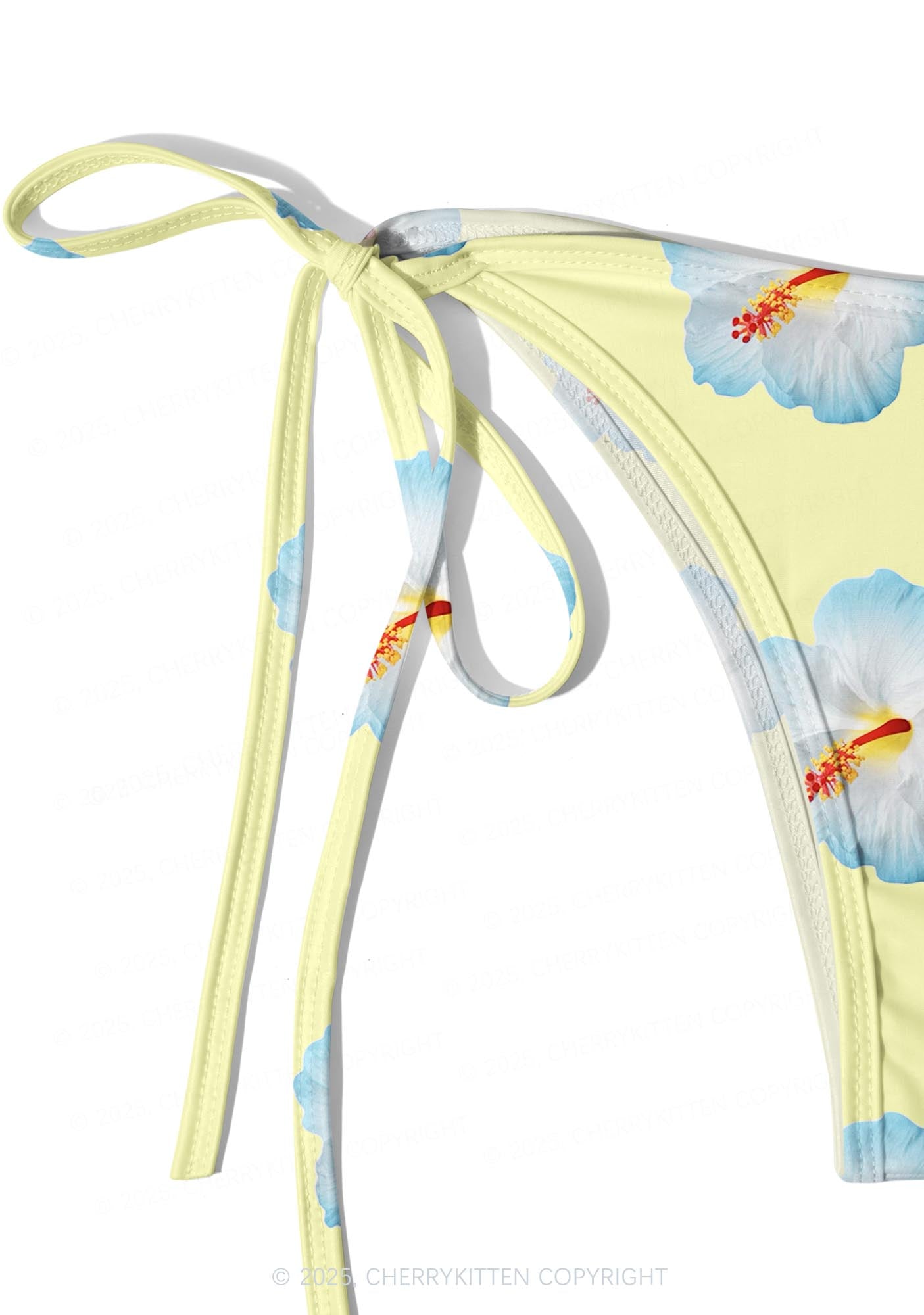 Blue Flowers Y2K Print Bikini Set Cherrykitten