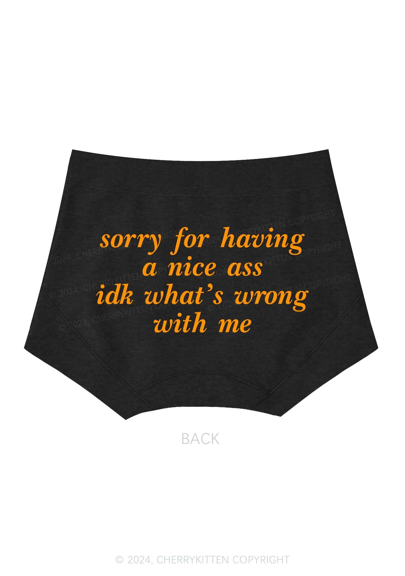 Sorry For Nice Axx Y2K Mid Rise Waist Boyshort Cherrykitten