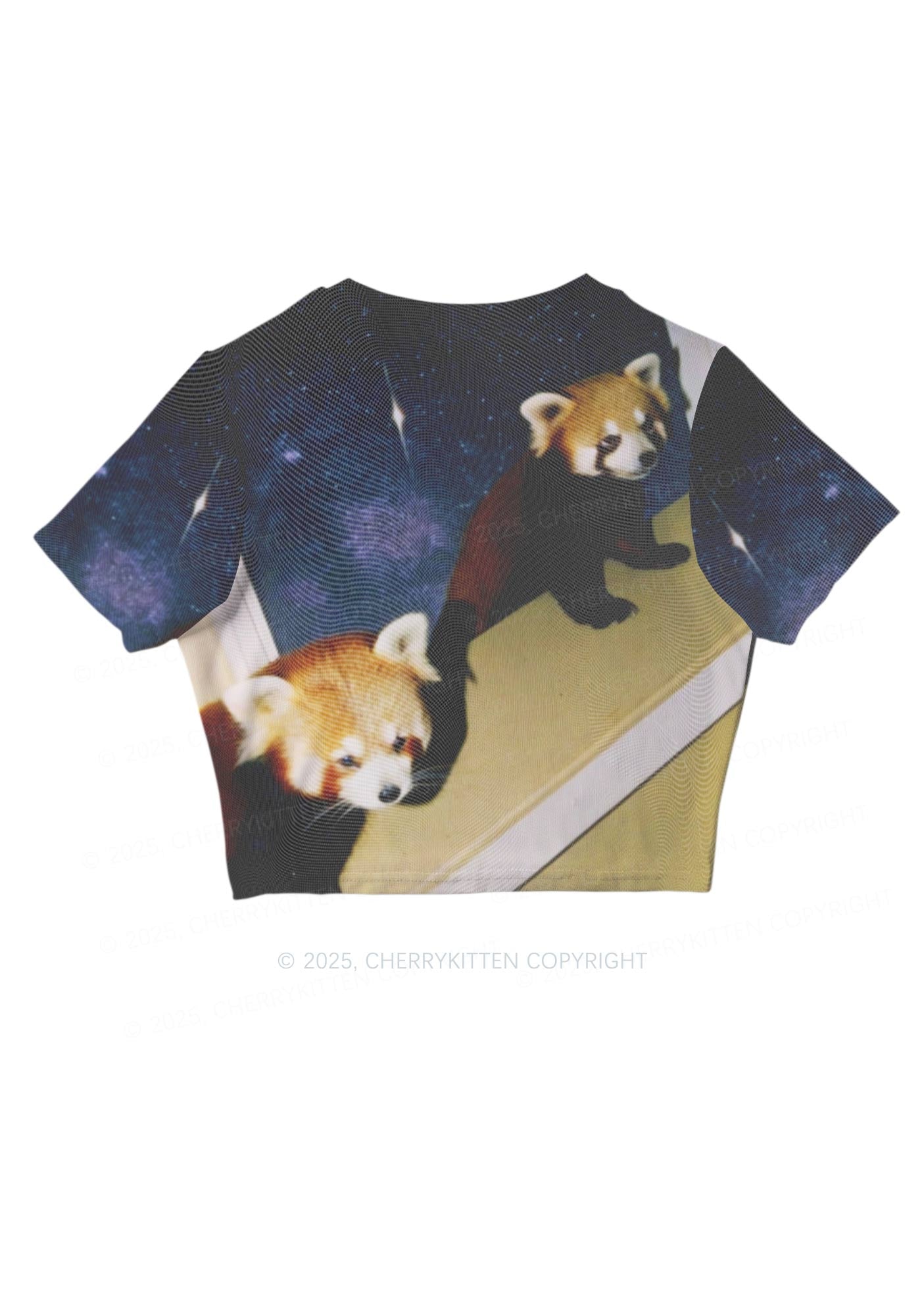 Raccoon Friends Y2K Mesh Crop Top Cherrykitten
