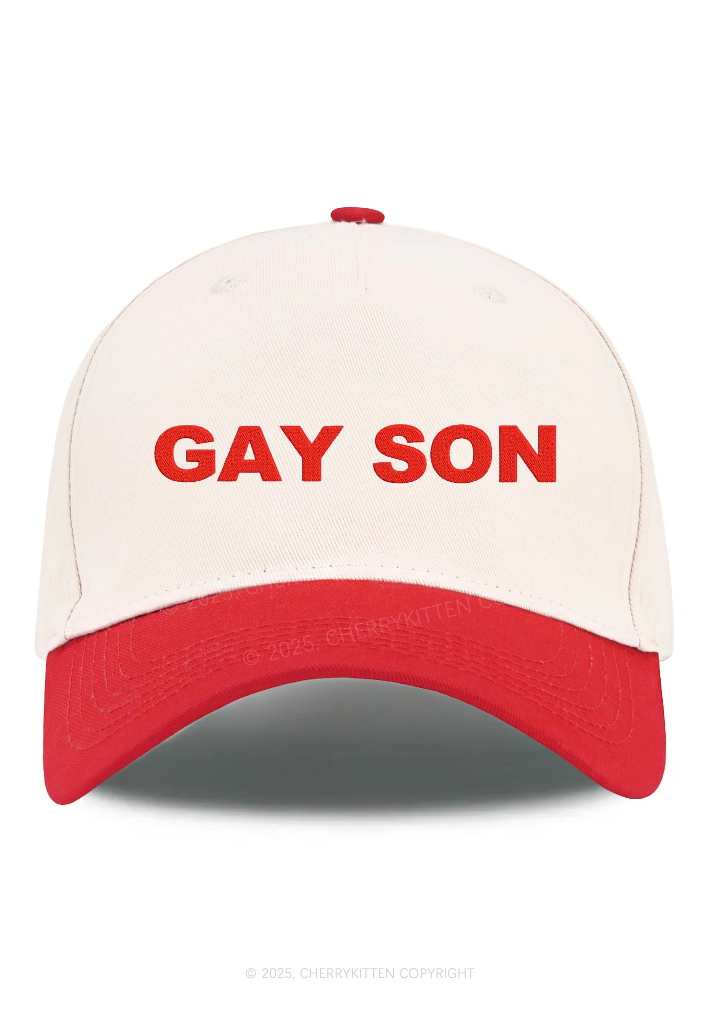 Embroidered Gay Son Pride Y2K Color Block Baseball Cap Cherrykitten