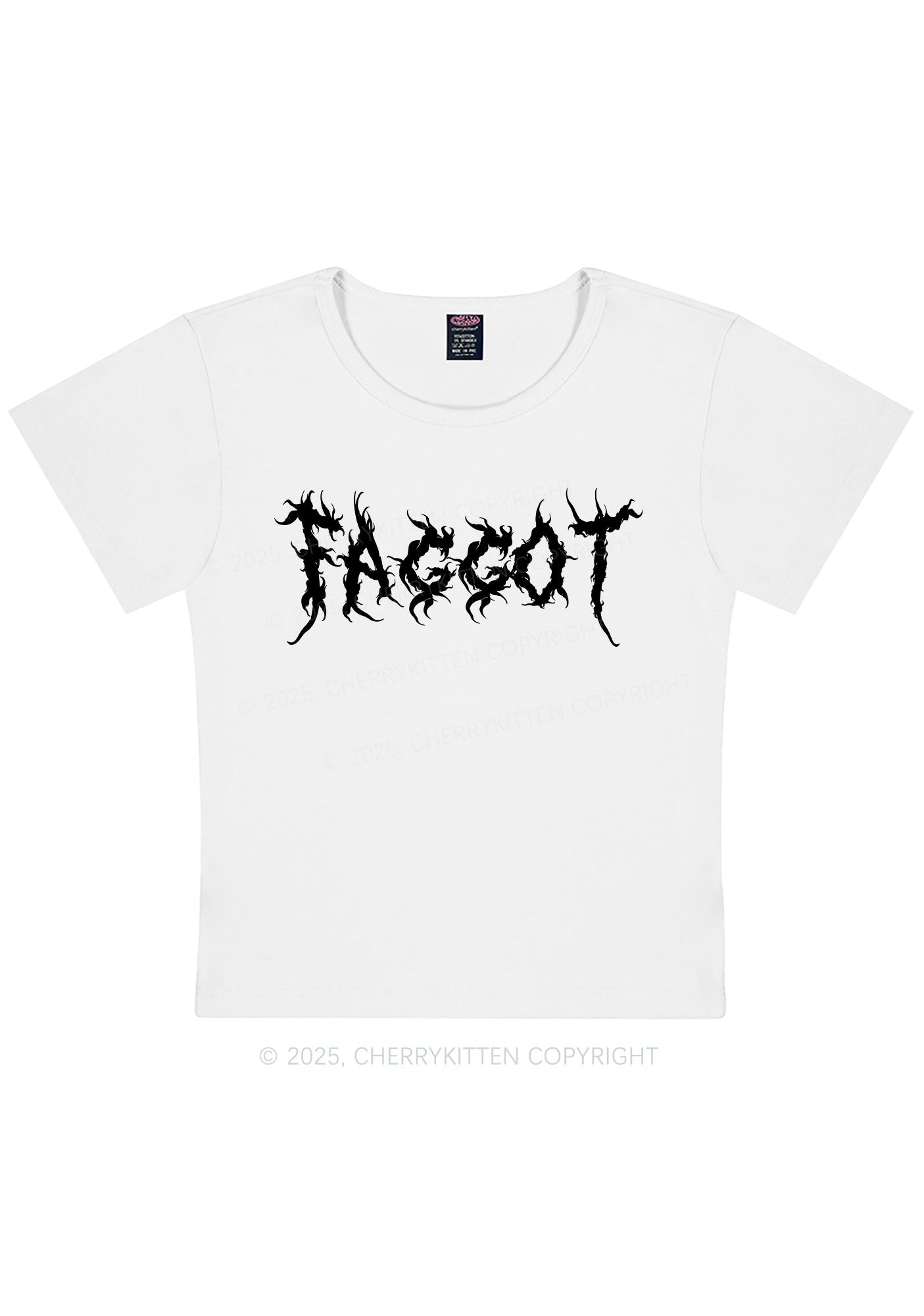 Curvy Punk Faggot Pride Y2K Baby Tee Cherrykitten
