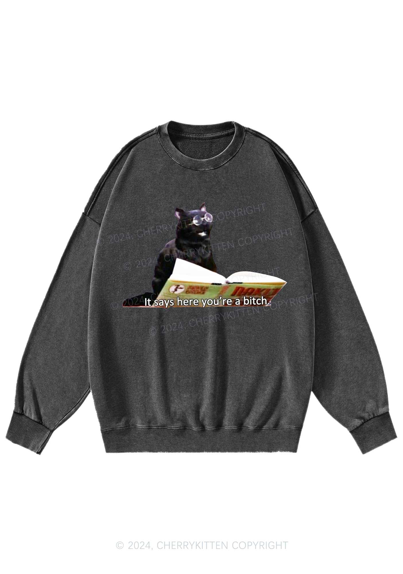 It Says Here You're A Bixxh Y2K Washed Sweatshirts Cherrykitten