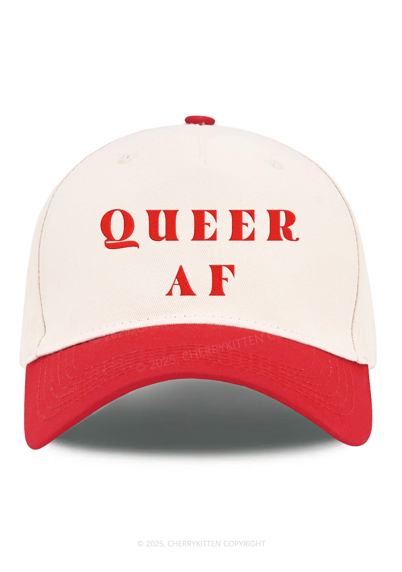 Embroidered Queer AF Pride Y2K Color Block Baseball Cap Cherrykitten