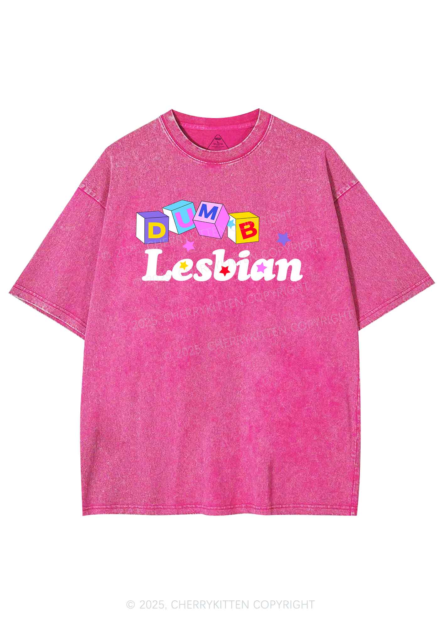 Dumb Lesbian Pride Y2K Shirts Washed Tee Cherrykitten