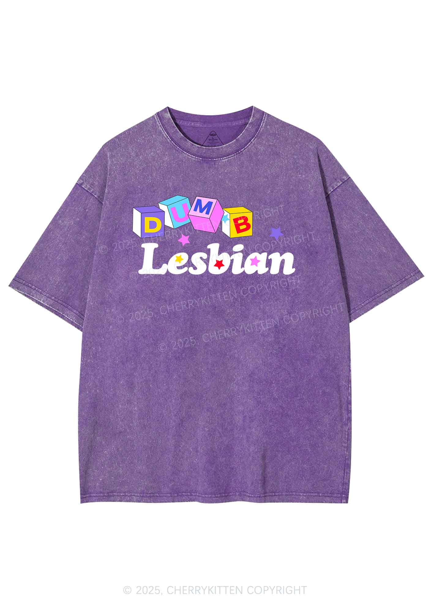Dumb Lesbian Pride Y2K Shirts Washed Tee Cherrykitten