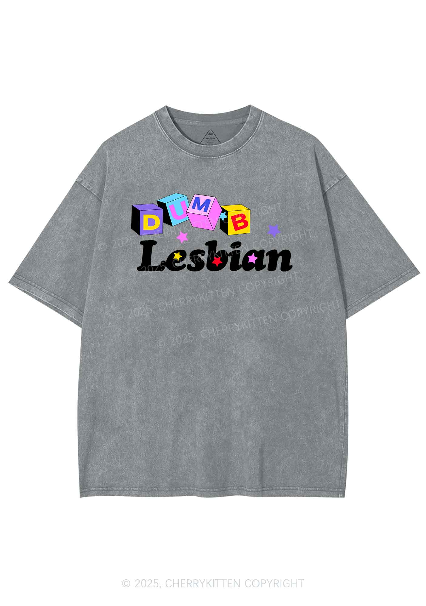 Dumb Lesbian Pride Y2K Shirts Washed Tee Cherrykitten