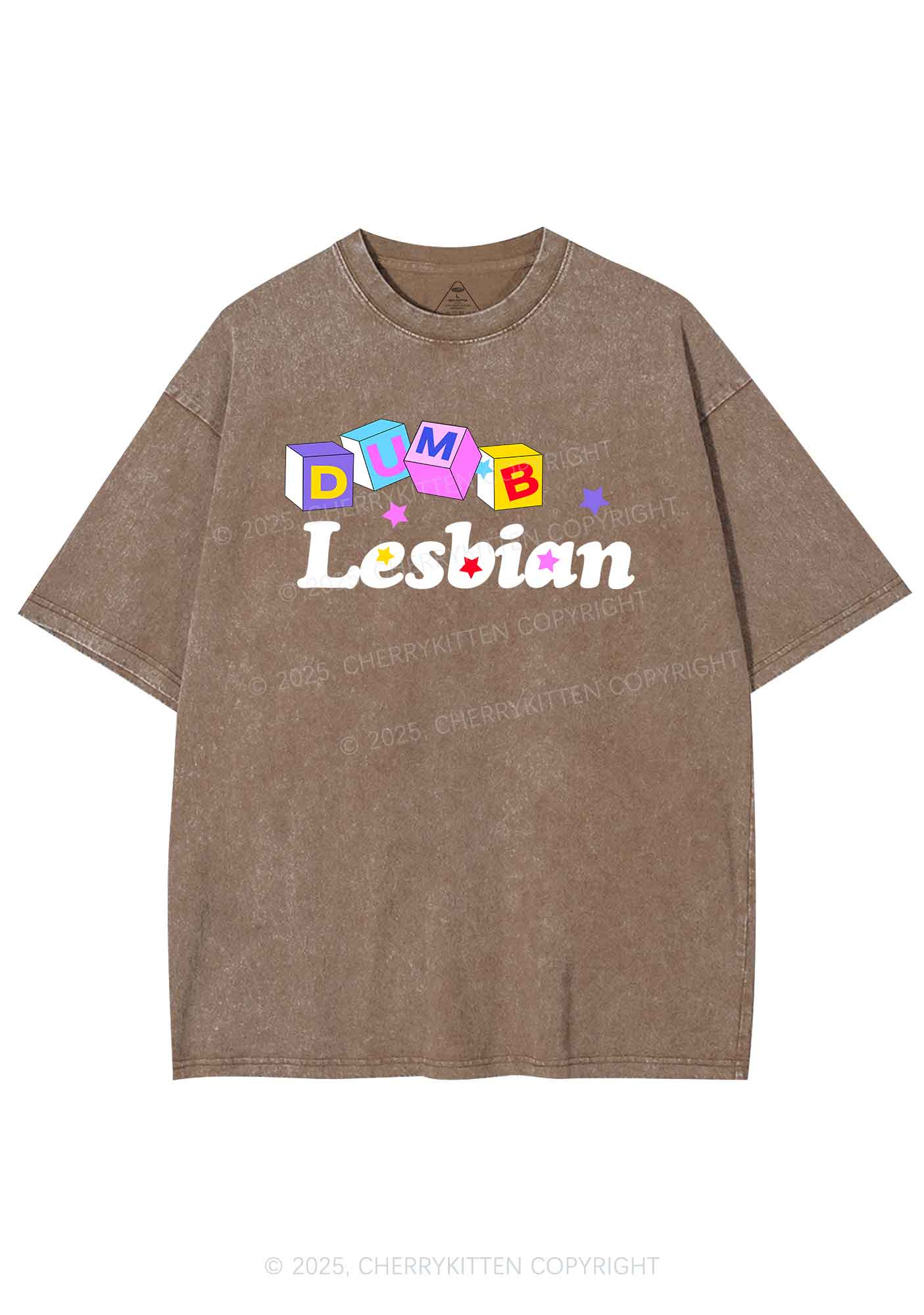 Dumb Lesbian Pride Y2K Shirts Washed Tee Cherrykitten