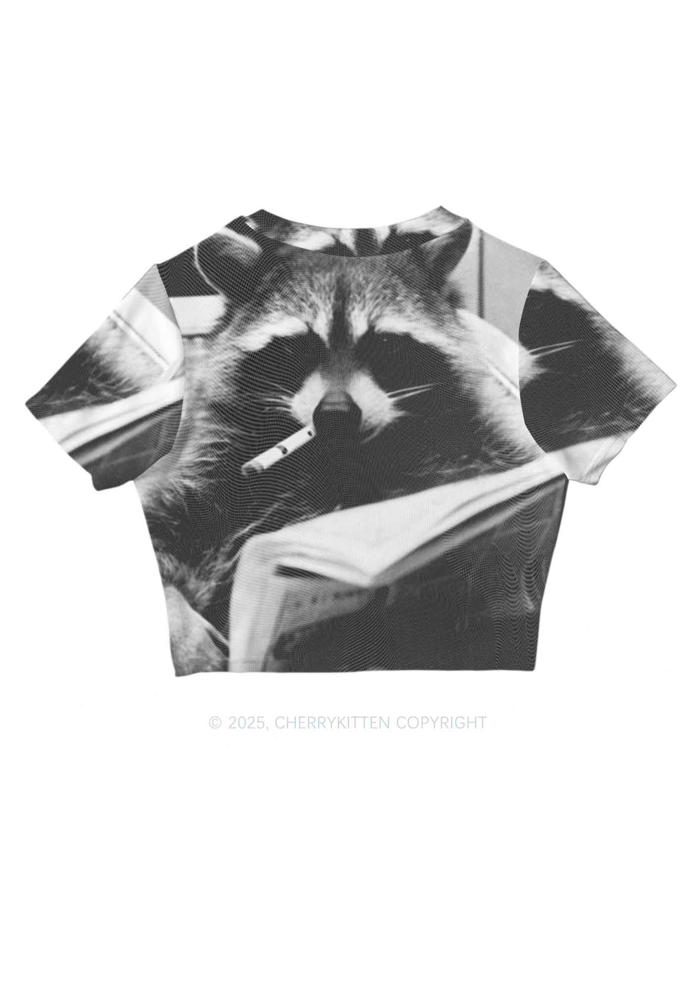 Cool Raccoon Y2K Mesh Crop Top Cherrykitten