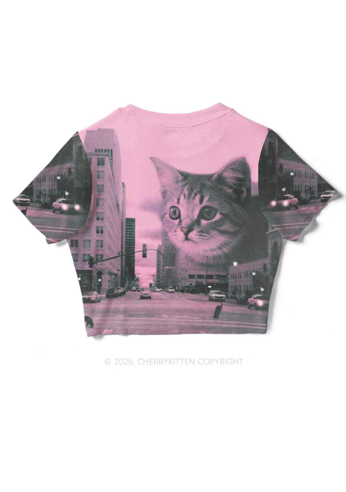 Cat Road Y2K Mesh Crop Top Cherrykitten